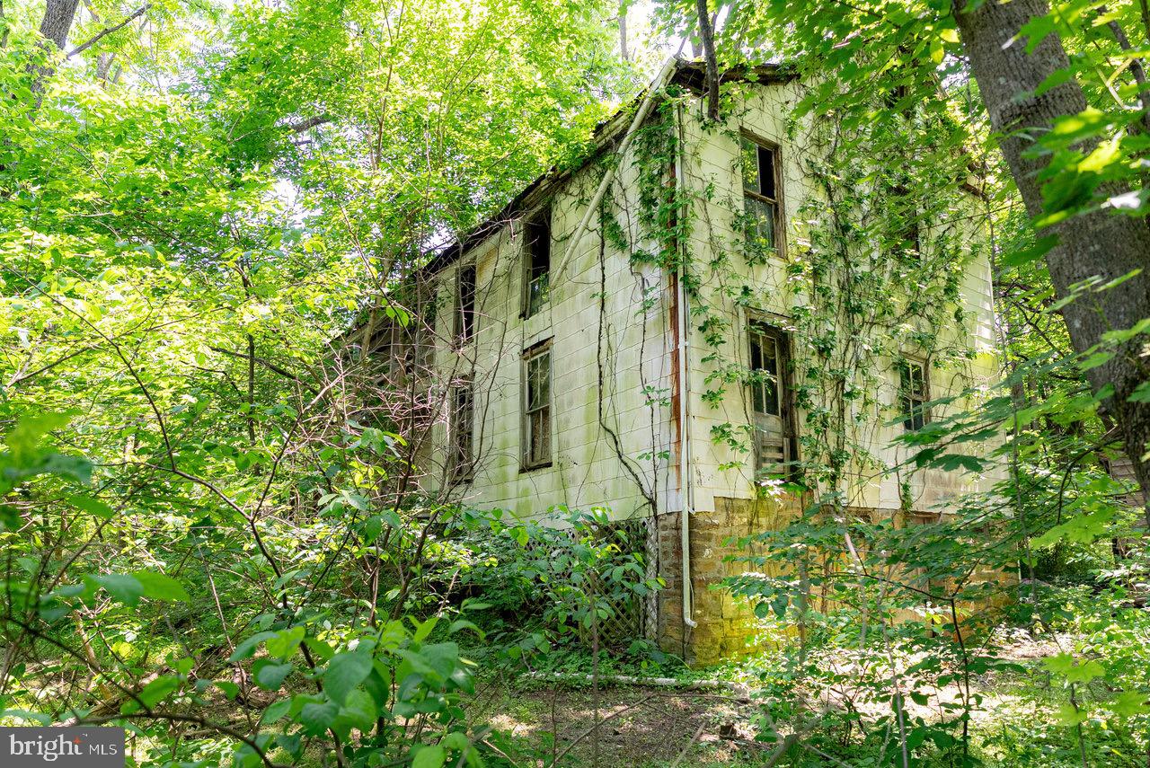 2410 MAUZY ATHLONE RD, BROADWAY, Virginia 22815, ,Land,For sale,2410 MAUZY ATHLONE RD,VARO2002774 MLS # VARO2002774 2410 MAUZY ATHLONE RD, BROADWAY, Virginia 22815, ,Land,For sale,2410 MAUZY ATHLONE RD,VARO2002774 MLS # VARO2002774