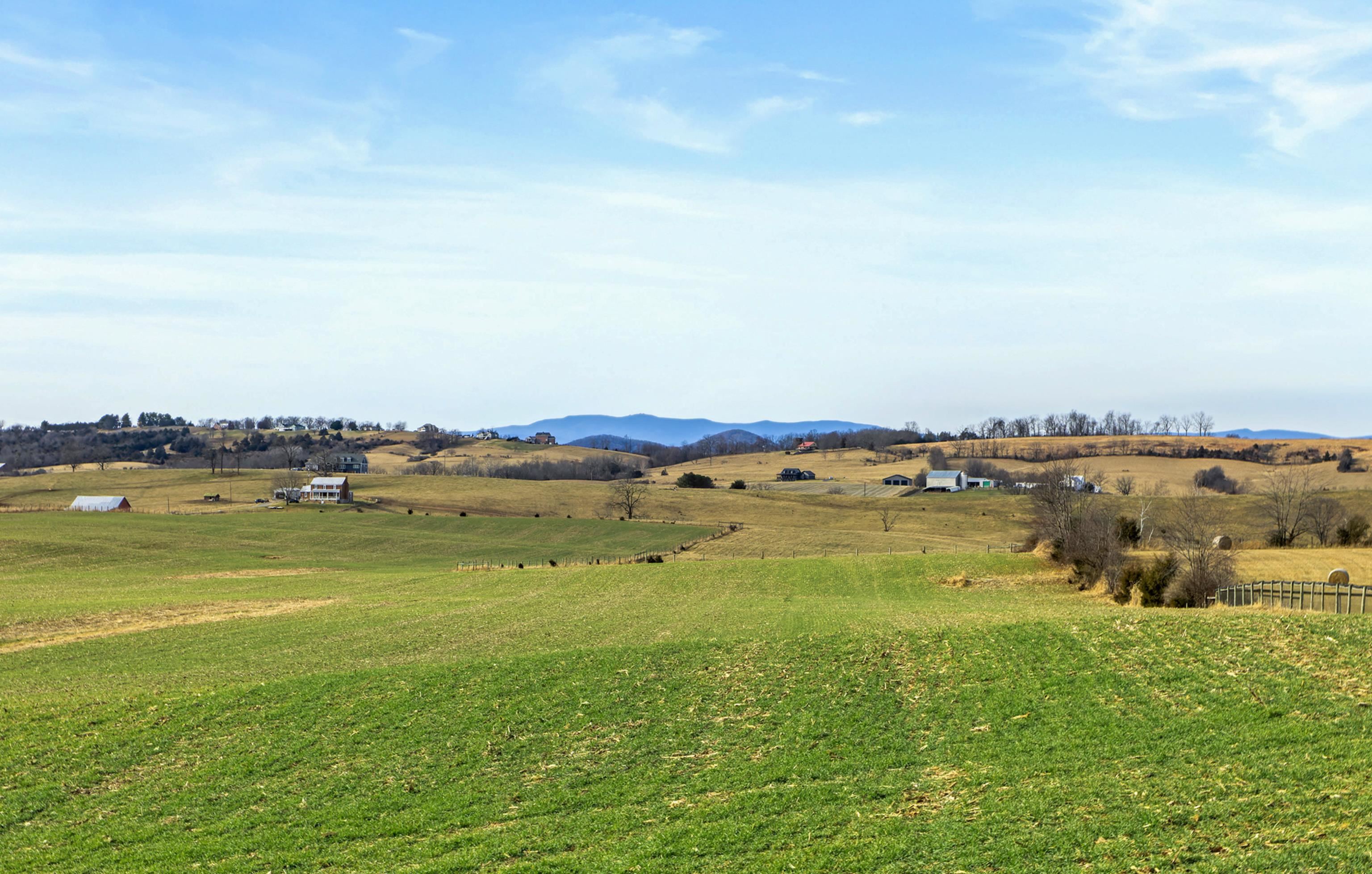 955 ENTRY SCHOOL RD, FISHERSVILLE, Virginia 22939, 4 Bedrooms Bedrooms, ,2 BathroomsBathrooms,Residential,955 ENTRY SCHOOL RD,672129 MLS # 672129 955 ENTRY SCHOOL RD, FISHERSVILLE, Virginia 22939, 4 Bedrooms Bedrooms, ,2 BathroomsBathrooms,Residential,955 ENTRY SCHOOL RD,672129 MLS # 672129