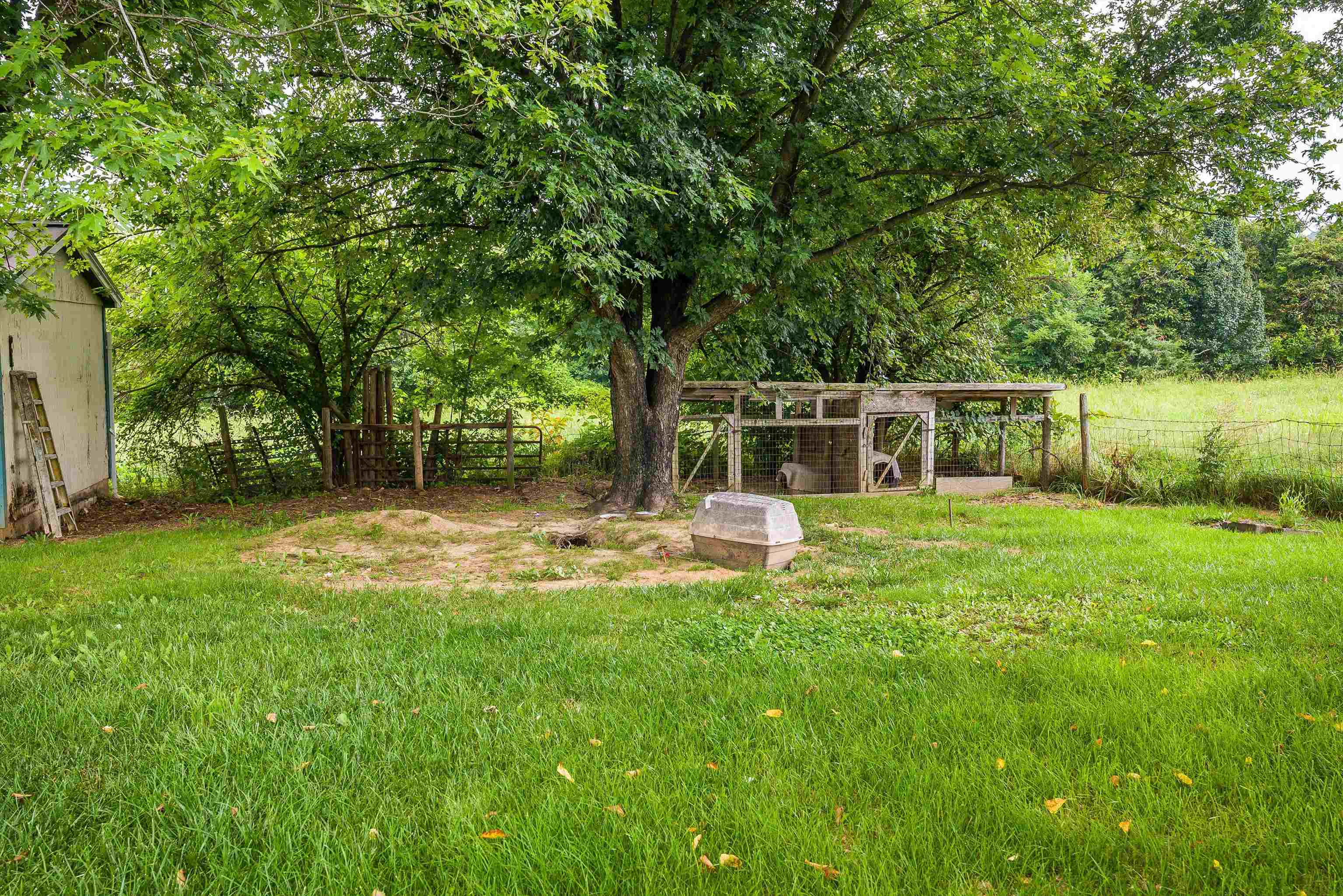 481 ELDON YATES DR, STANLEY, Virginia 22851, 3 Bedrooms Bedrooms, ,1 BathroomBathrooms,Residential,481 ELDON YATES DR,672131 MLS # 672131 481 ELDON YATES DR, STANLEY, Virginia 22851, 3 Bedrooms Bedrooms, ,1 BathroomBathrooms,Residential,481 ELDON YATES DR,672131 MLS # 672131