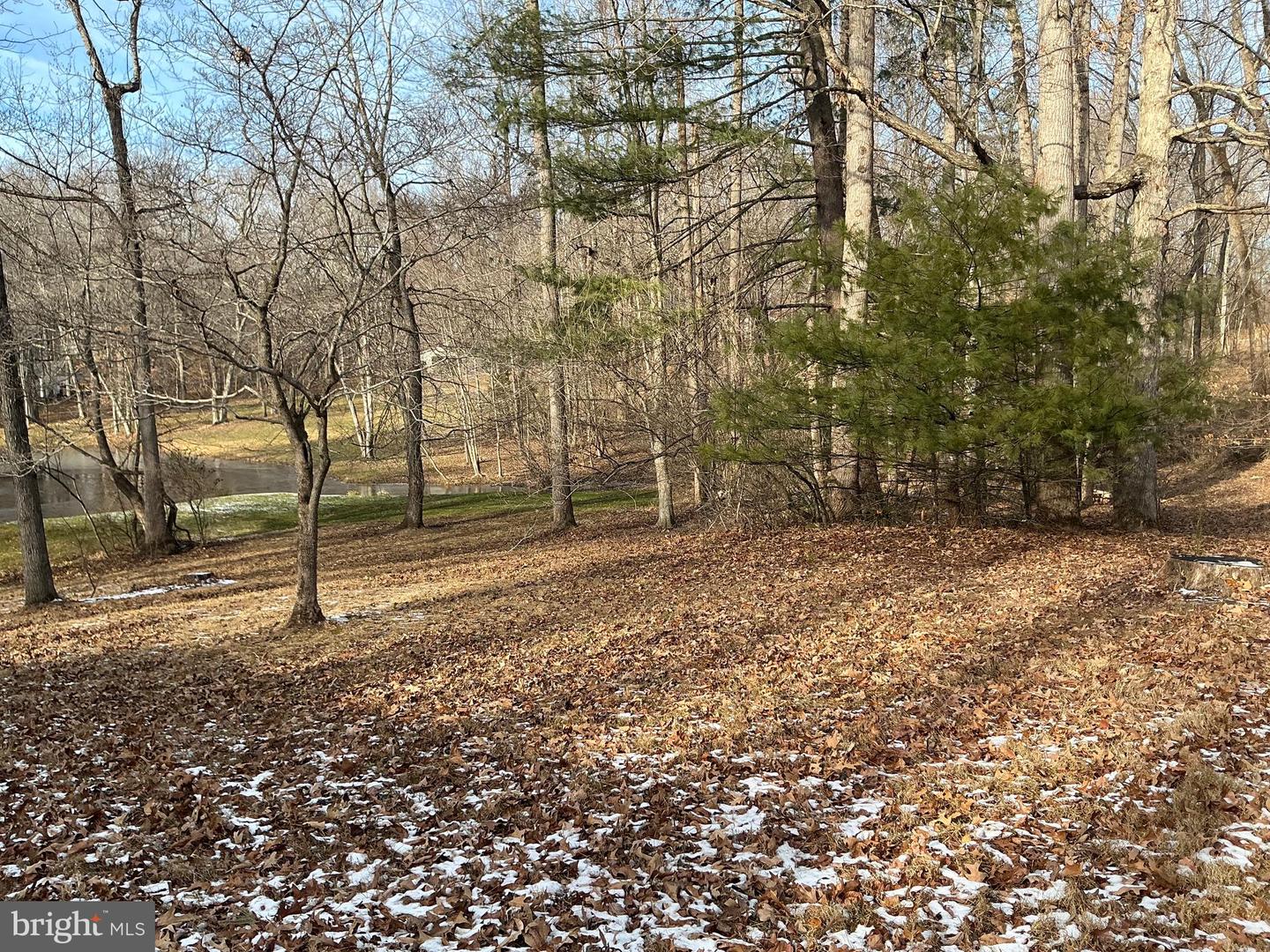 2496 JEFFERSON WOODS, AMISSVILLE, Virginia 20106, 3 Bedrooms Bedrooms, ,2 BathroomsBathrooms,Residential,For sale,2496 JEFFERSON WOODS,VACU2012274 MLS # VACU2012274 2496 JEFFERSON WOODS, AMISSVILLE, Virginia 20106, 3 Bedrooms Bedrooms, ,2 BathroomsBathrooms,Residential,For sale,2496 JEFFERSON WOODS,VACU2012274 MLS # VACU2012274