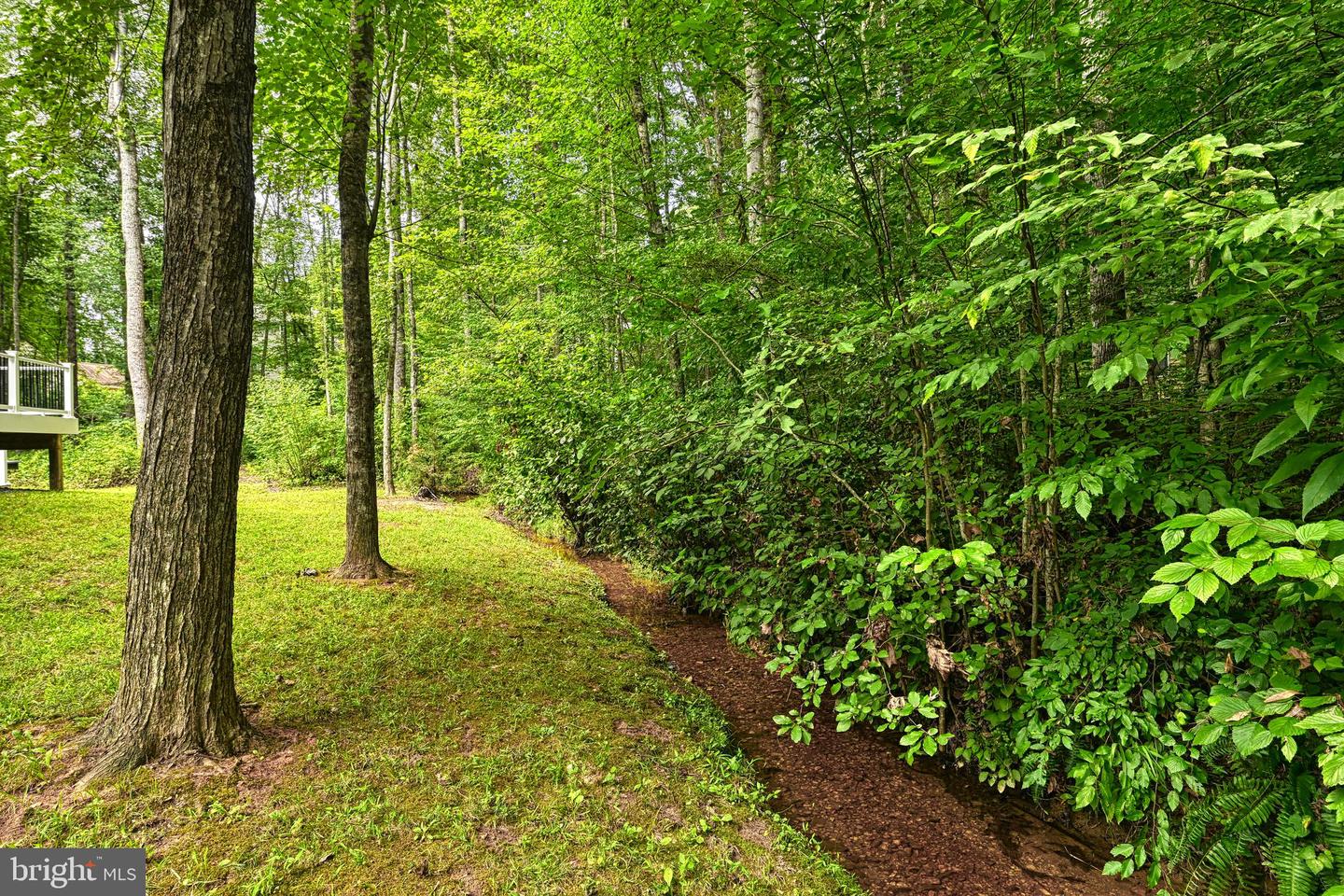 222 BATTLEFIELD RD, LOCUST GROVE, Virginia 22508, 3 Bedrooms Bedrooms, ,2 BathroomsBathrooms,Residential,For sale,222 BATTLEFIELD RD,VAOR2013026 MLS # VAOR2013026