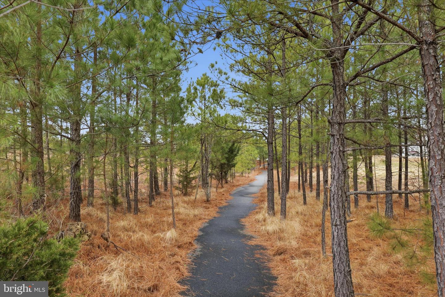 6619 SACAGAWEA ST, RUTHER GLEN, Virginia 22546, 3 Bedrooms Bedrooms, ,2 BathroomsBathrooms,Residential,For sale,6619 SACAGAWEA ST,VACV2009306 MLS # VACV2009306 6619 SACAGAWEA ST, RUTHER GLEN, Virginia 22546, 3 Bedrooms Bedrooms, ,2 BathroomsBathrooms,Residential,For sale,6619 SACAGAWEA ST,VACV2009306 MLS # VACV2009306