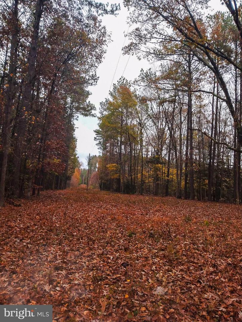 3796 CUT BANK RD, WARFIELD, Virginia 23889, 2 Bedrooms Bedrooms, ,1 BathroomBathrooms,Residential,For sale,3796 CUT BANK RD,VABW2000096 MLS # VABW2000096 3796 CUT BANK RD, WARFIELD, Virginia 23889, 2 Bedrooms Bedrooms, ,1 BathroomBathrooms,Residential,For sale,3796 CUT BANK RD,VABW2000096 MLS # VABW2000096