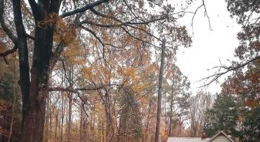 3796 CUT BANK RD, WARFIELD, Virginia 23889, 2 Bedrooms Bedrooms, ,1 BathroomBathrooms,Residential,For sale,3796 CUT BANK RD,VABW2000096 MLS # VABW2000096