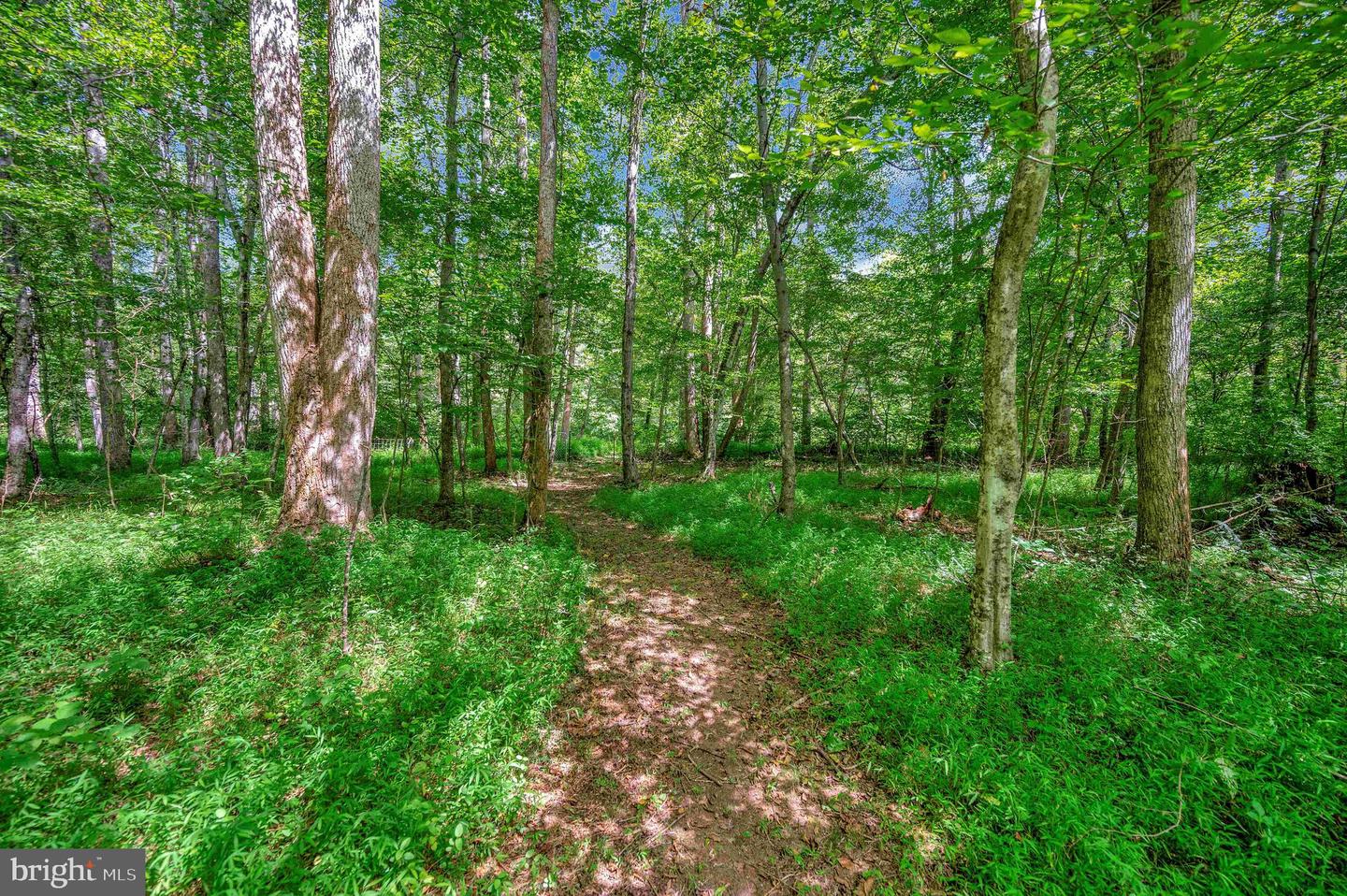 13185 MILL CREEK CT, REVA, Virginia 22735, 3 Bedrooms Bedrooms, ,2 BathroomsBathrooms,Residential,For sale,13185 MILL CREEK CT,VACU2012280 MLS # VACU2012280