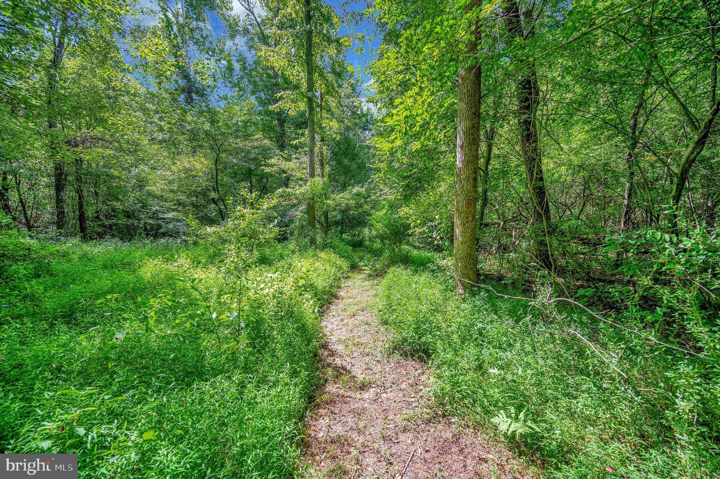 13185 MILL CREEK CT, REVA, Virginia 22735, 3 Bedrooms Bedrooms, ,2 BathroomsBathrooms,Residential,For sale,13185 MILL CREEK CT,VACU2012280 MLS # VACU2012280