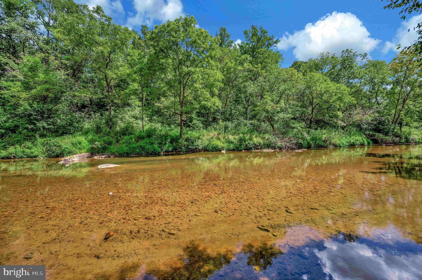 13185 MILL CREEK CT, REVA, Virginia 22735, 3 Bedrooms Bedrooms, ,2 BathroomsBathrooms,Residential,For sale,13185 MILL CREEK CT,VACU2012280 MLS # VACU2012280