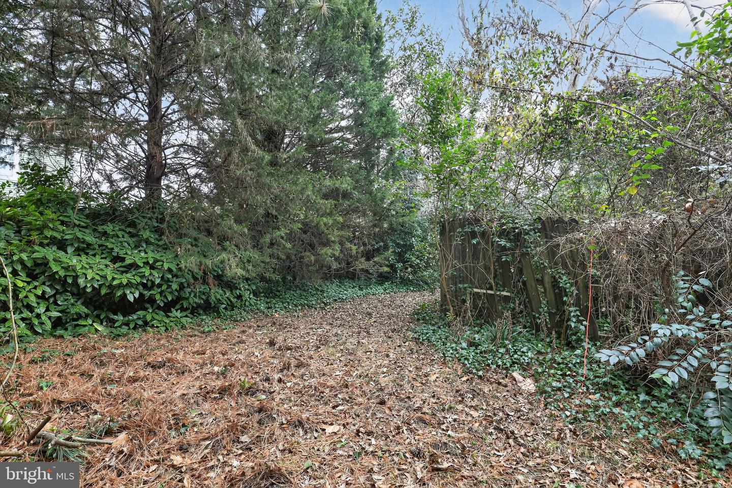 51 BUXTON AVE, NEWPORT NEWS, Virginia 23607, 4 Bedrooms Bedrooms, ,2 BathroomsBathrooms,Residential,For sale,51 BUXTON AVE,VANN2000118 MLS # VANN2000118 51 BUXTON AVE, NEWPORT NEWS, Virginia 23607, 4 Bedrooms Bedrooms, ,2 BathroomsBathrooms,Residential,For sale,51 BUXTON AVE,VANN2000118 MLS # VANN2000118