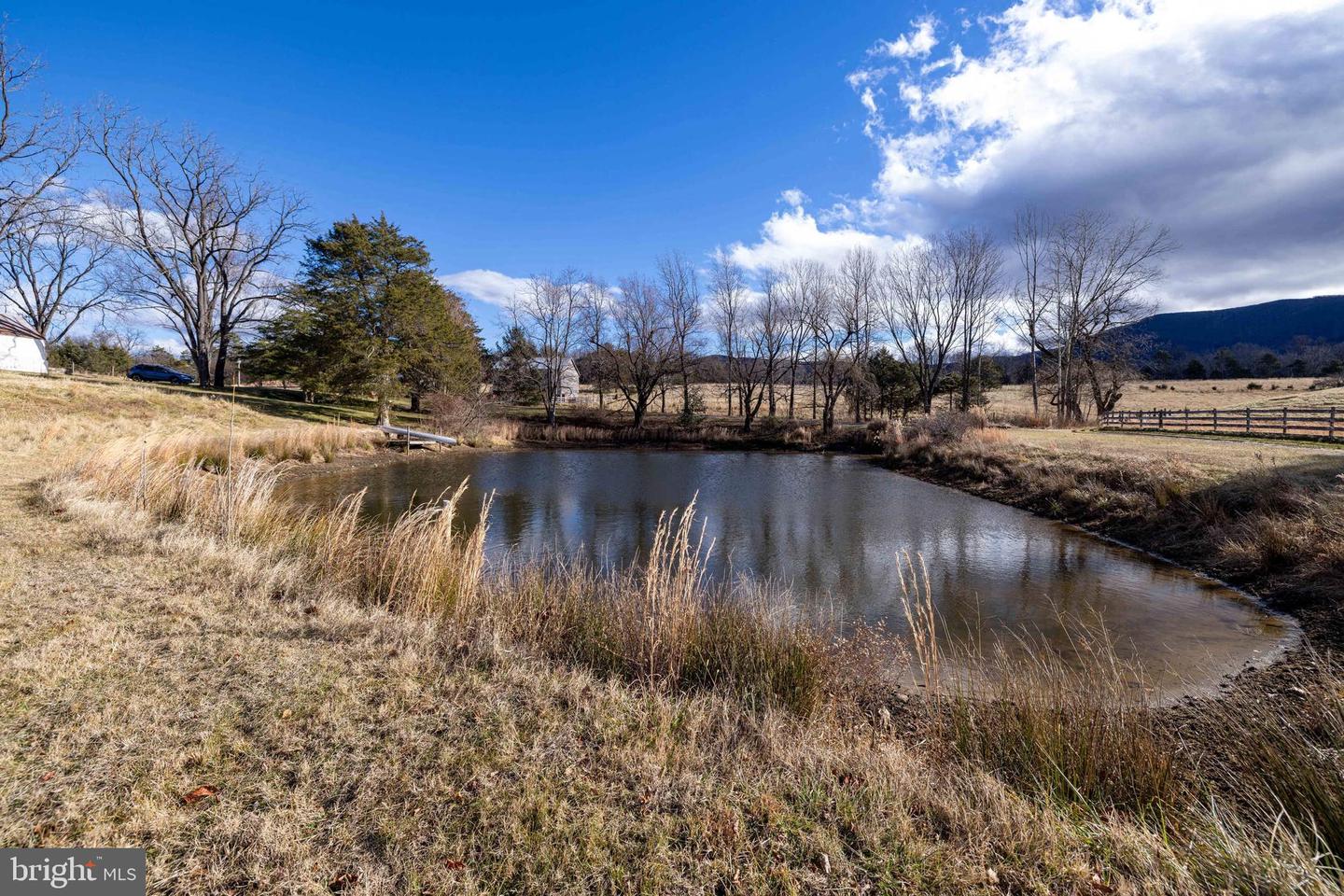 1159 PINE GROVE RD, STANLEY, Virginia 22851, 3 Bedrooms Bedrooms, 7 Rooms Rooms,1 BathroomBathrooms,Residential,For sale,1159 PINE GROVE RD,VAPA2005694 MLS # VAPA2005694 1159 PINE GROVE RD, STANLEY, Virginia 22851, 3 Bedrooms Bedrooms, 7 Rooms Rooms,1 BathroomBathrooms,Residential,For sale,1159 PINE GROVE RD,VAPA2005694 MLS # VAPA2005694