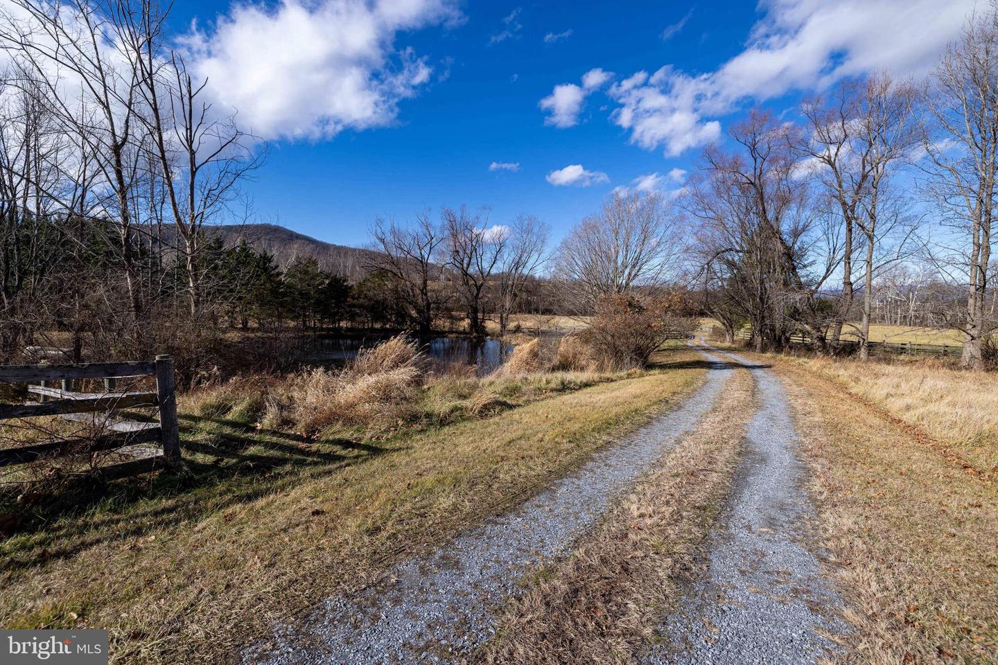 1159 PINE GROVE RD, STANLEY, Virginia 22851, 3 Bedrooms Bedrooms, 7 Rooms Rooms,1 BathroomBathrooms,Residential,For sale,1159 PINE GROVE RD,VAPA2005694 MLS # VAPA2005694 1159 PINE GROVE RD, STANLEY, Virginia 22851, 3 Bedrooms Bedrooms, 7 Rooms Rooms,1 BathroomBathrooms,Residential,For sale,1159 PINE GROVE RD,VAPA2005694 MLS # VAPA2005694