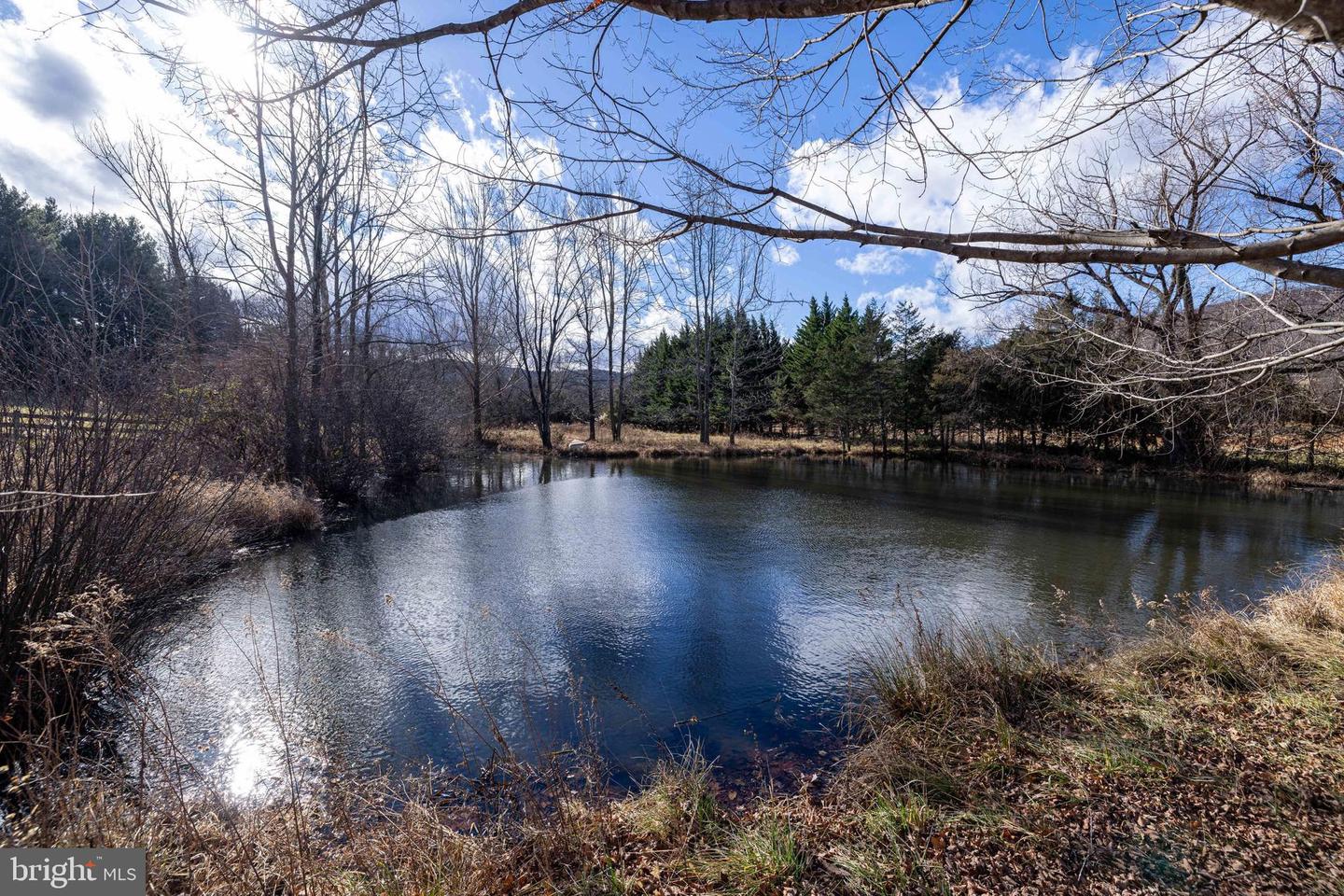 1159 PINE GROVE RD, STANLEY, Virginia 22851, 3 Bedrooms Bedrooms, 7 Rooms Rooms,1 BathroomBathrooms,Residential,For sale,1159 PINE GROVE RD,VAPA2005694 MLS # VAPA2005694 1159 PINE GROVE RD, STANLEY, Virginia 22851, 3 Bedrooms Bedrooms, 7 Rooms Rooms,1 BathroomBathrooms,Residential,For sale,1159 PINE GROVE RD,VAPA2005694 MLS # VAPA2005694