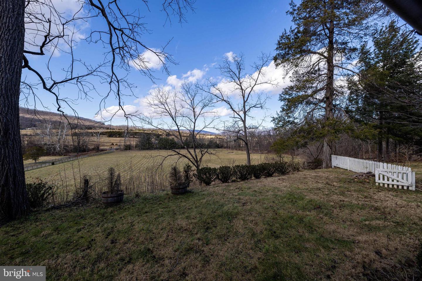 1159 PINE GROVE RD, STANLEY, Virginia 22851, 3 Bedrooms Bedrooms, 7 Rooms Rooms,1 BathroomBathrooms,Residential,For sale,1159 PINE GROVE RD,VAPA2005694 MLS # VAPA2005694 1159 PINE GROVE RD, STANLEY, Virginia 22851, 3 Bedrooms Bedrooms, 7 Rooms Rooms,1 BathroomBathrooms,Residential,For sale,1159 PINE GROVE RD,VAPA2005694 MLS # VAPA2005694