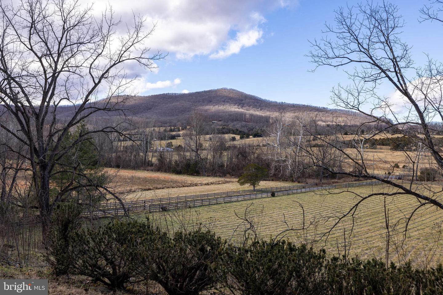 1159 PINE GROVE RD, STANLEY, Virginia 22851, 3 Bedrooms Bedrooms, 7 Rooms Rooms,1 BathroomBathrooms,Residential,For sale,1159 PINE GROVE RD,VAPA2005694 MLS # VAPA2005694 1159 PINE GROVE RD, STANLEY, Virginia 22851, 3 Bedrooms Bedrooms, 7 Rooms Rooms,1 BathroomBathrooms,Residential,For sale,1159 PINE GROVE RD,VAPA2005694 MLS # VAPA2005694