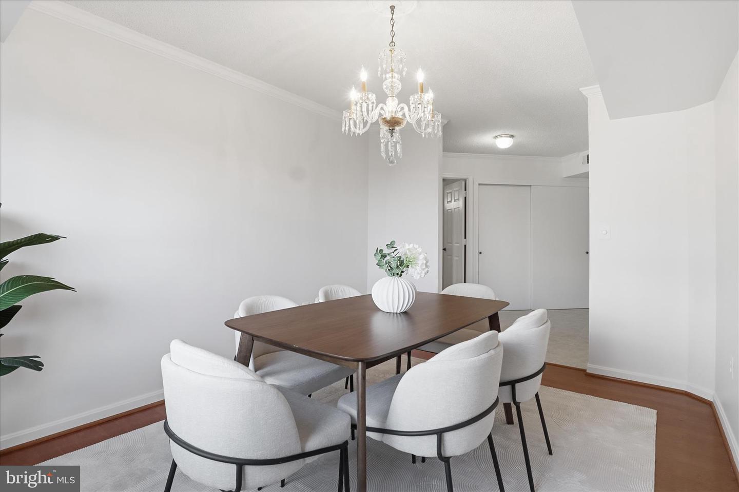 2121 JAMIESON AVE #509, ALEXANDRIA, Virginia 22314, 2 Bedrooms Bedrooms, ,2 BathroomsBathrooms,Residential,For sale,2121 JAMIESON AVE #509,VAAX2052322 MLS # VAAX2052322 2121 JAMIESON AVE #509, ALEXANDRIA, Virginia 22314, 2 Bedrooms Bedrooms, ,2 BathroomsBathrooms,Residential,For sale,2121 JAMIESON AVE #509,VAAX2052322 MLS # VAAX2052322