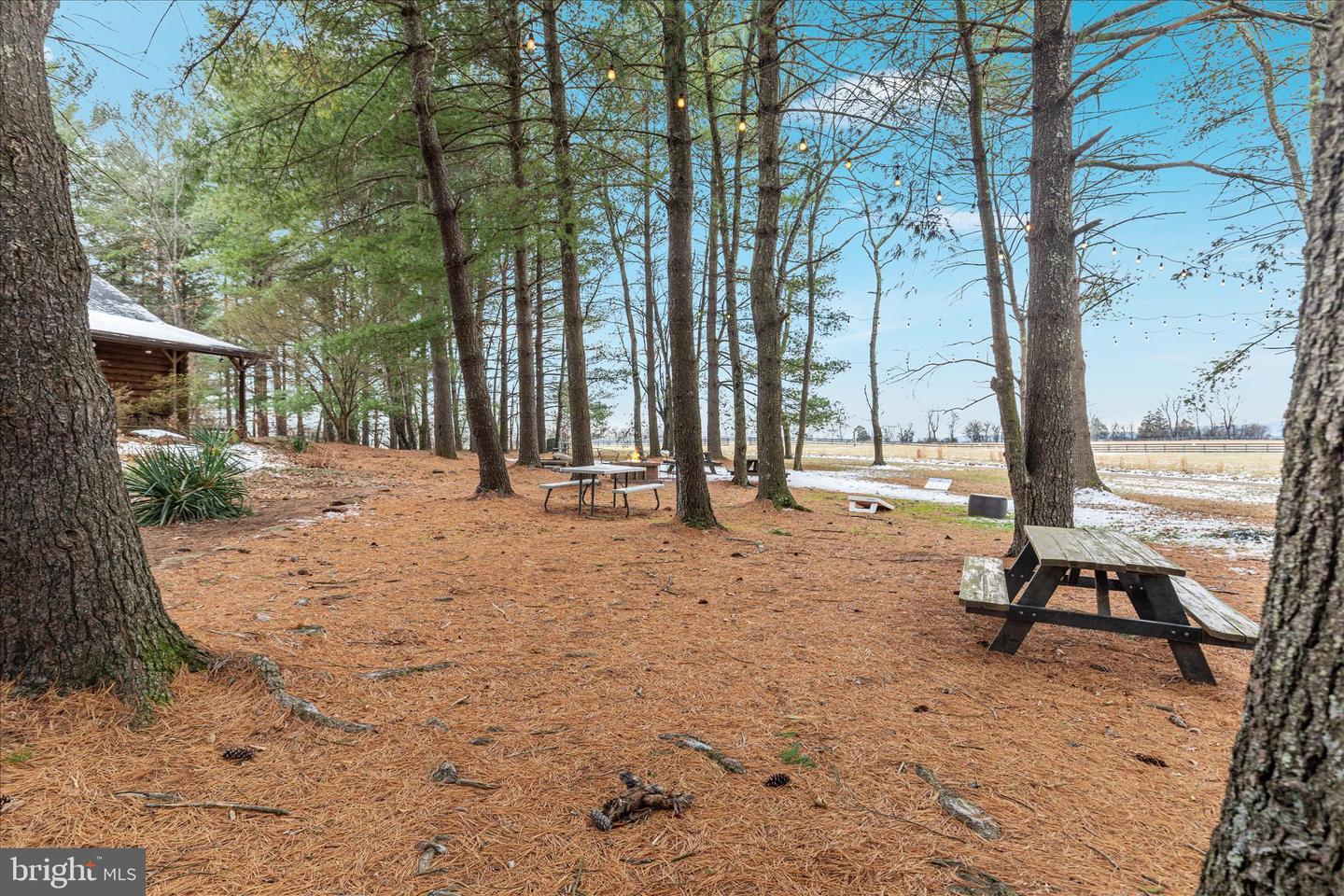 43301 SPINKS FERRY RD, LEESBURG, Virginia 20176, 2 Bedrooms Bedrooms, ,2 BathroomsBathrooms,Residential,For sale,43301 SPINKS FERRY RD,VALO2112342 MLS # VALO2112342