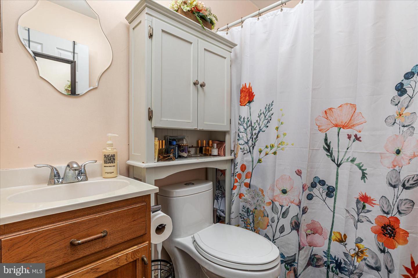 43301 SPINKS FERRY RD, LEESBURG, Virginia 20176, 2 Bedrooms Bedrooms, ,2 BathroomsBathrooms,Residential,For sale,43301 SPINKS FERRY RD,VALO2112342 MLS # VALO2112342