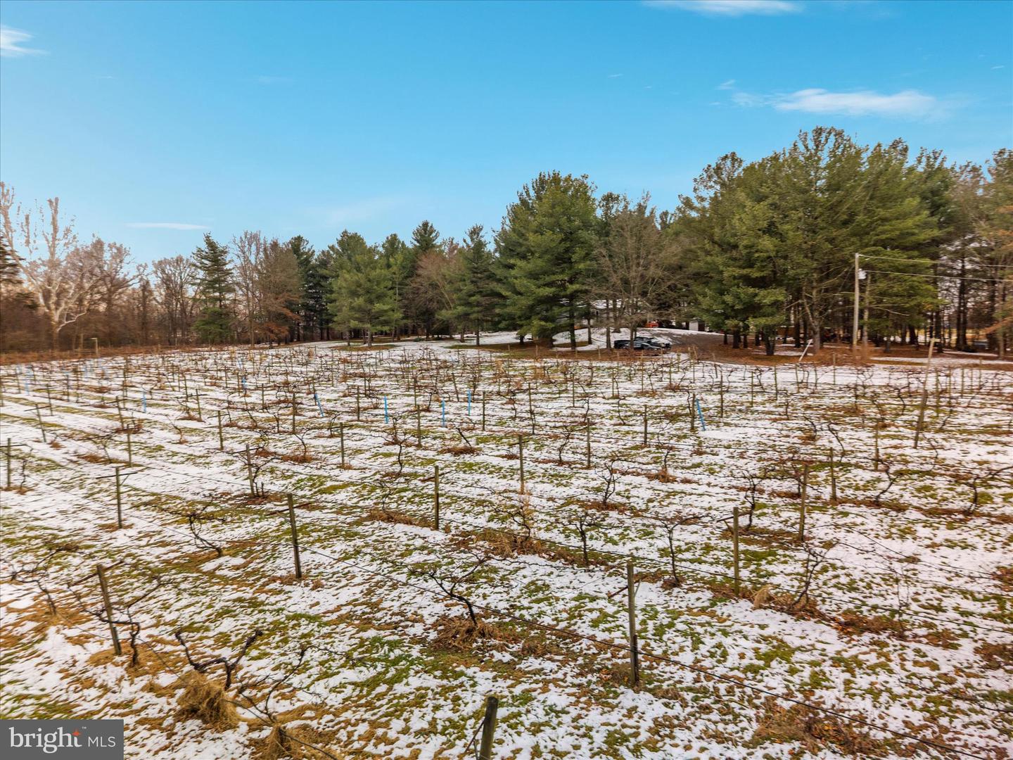 43301 SPINKS FERRY RD, LEESBURG, Virginia 20176, 2 Bedrooms Bedrooms, ,2 BathroomsBathrooms,Residential,For sale,43301 SPINKS FERRY RD,VALO2112342 MLS # VALO2112342