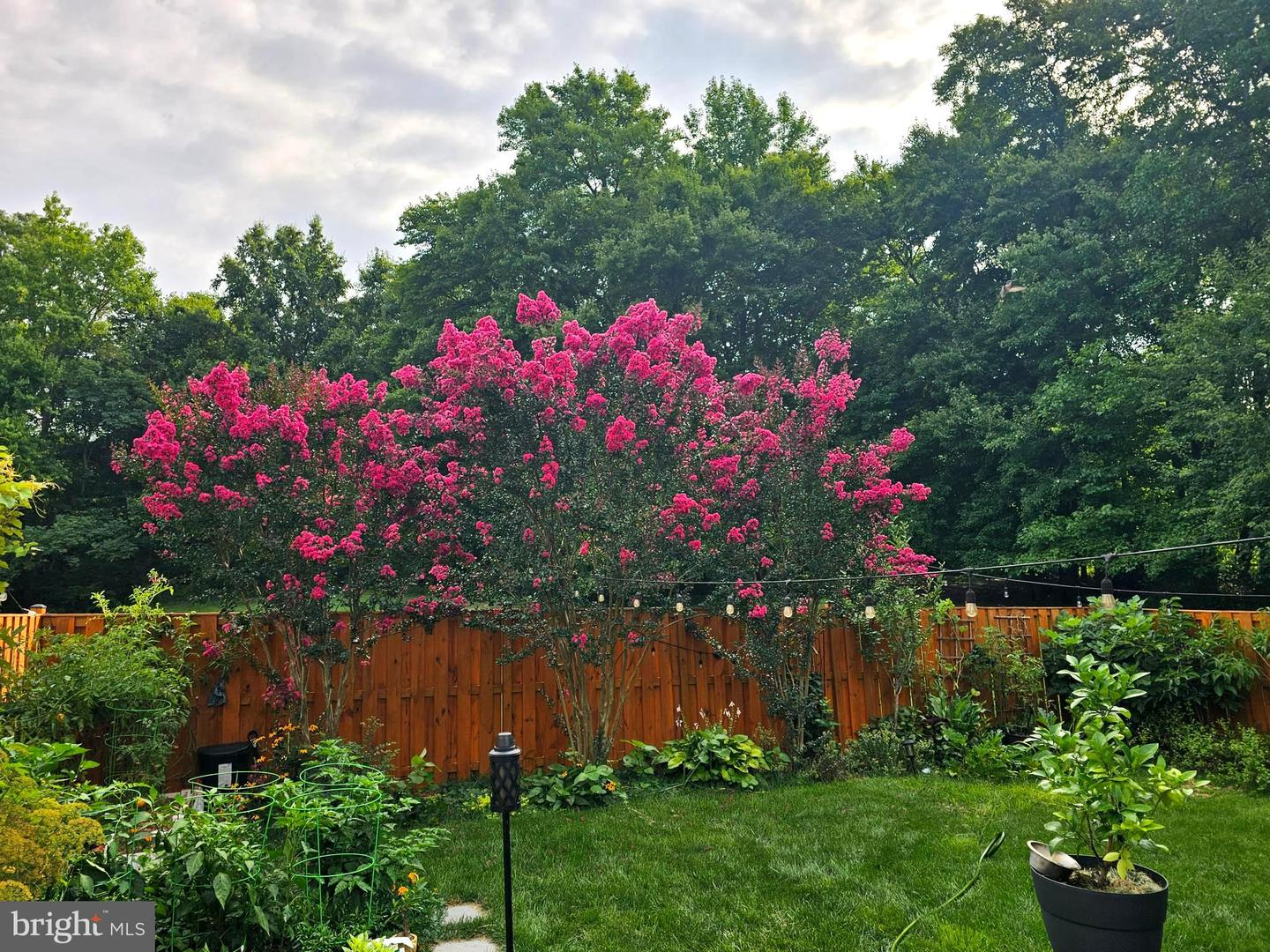 7114 WESTFIELD CT, ALEXANDRIA, Virginia 22306, 2 Bedrooms Bedrooms, ,2 BathroomsBathrooms,Residential,For sale,7114 WESTFIELD CT,VAFX2283054 MLS # VAFX2283054