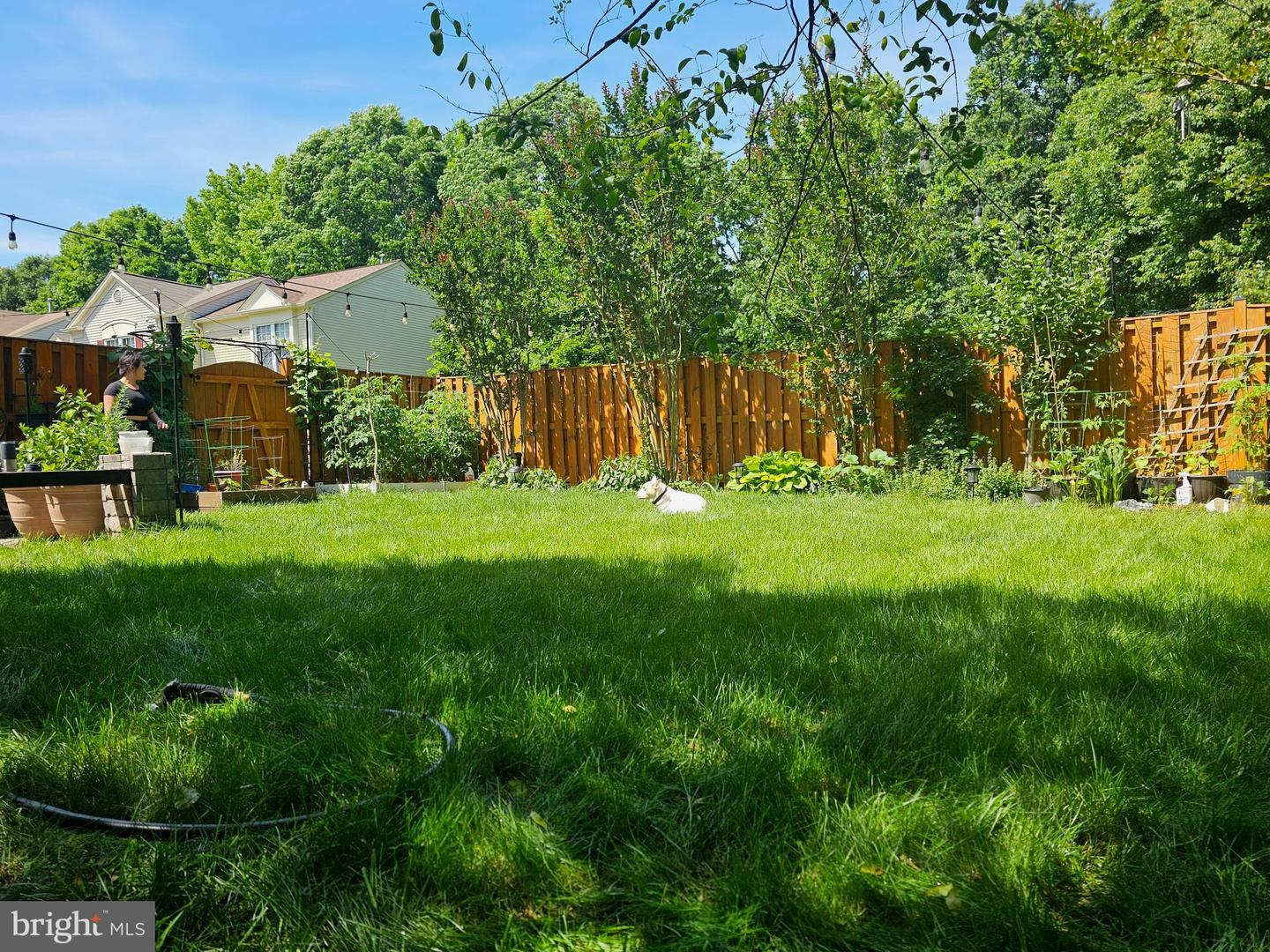 7114 WESTFIELD CT, ALEXANDRIA, Virginia 22306, 2 Bedrooms Bedrooms, ,2 BathroomsBathrooms,Residential,For sale,7114 WESTFIELD CT,VAFX2283054 MLS # VAFX2283054