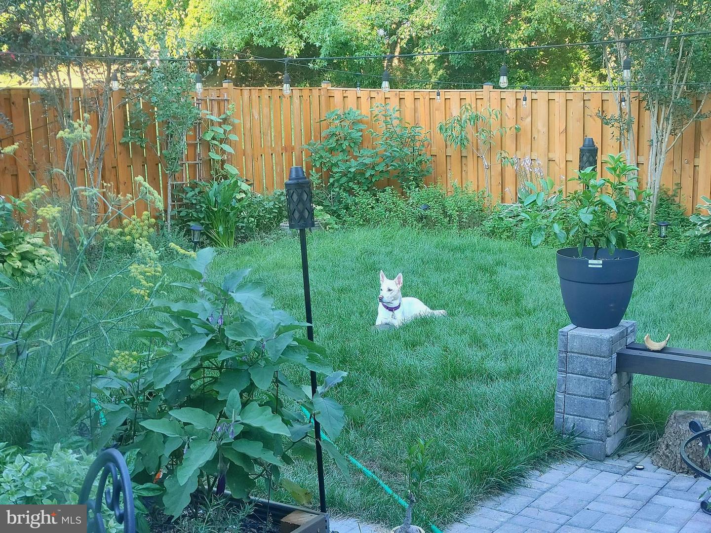 7114 WESTFIELD CT, ALEXANDRIA, Virginia 22306, 2 Bedrooms Bedrooms, ,2 BathroomsBathrooms,Residential,For sale,7114 WESTFIELD CT,VAFX2283054 MLS # VAFX2283054