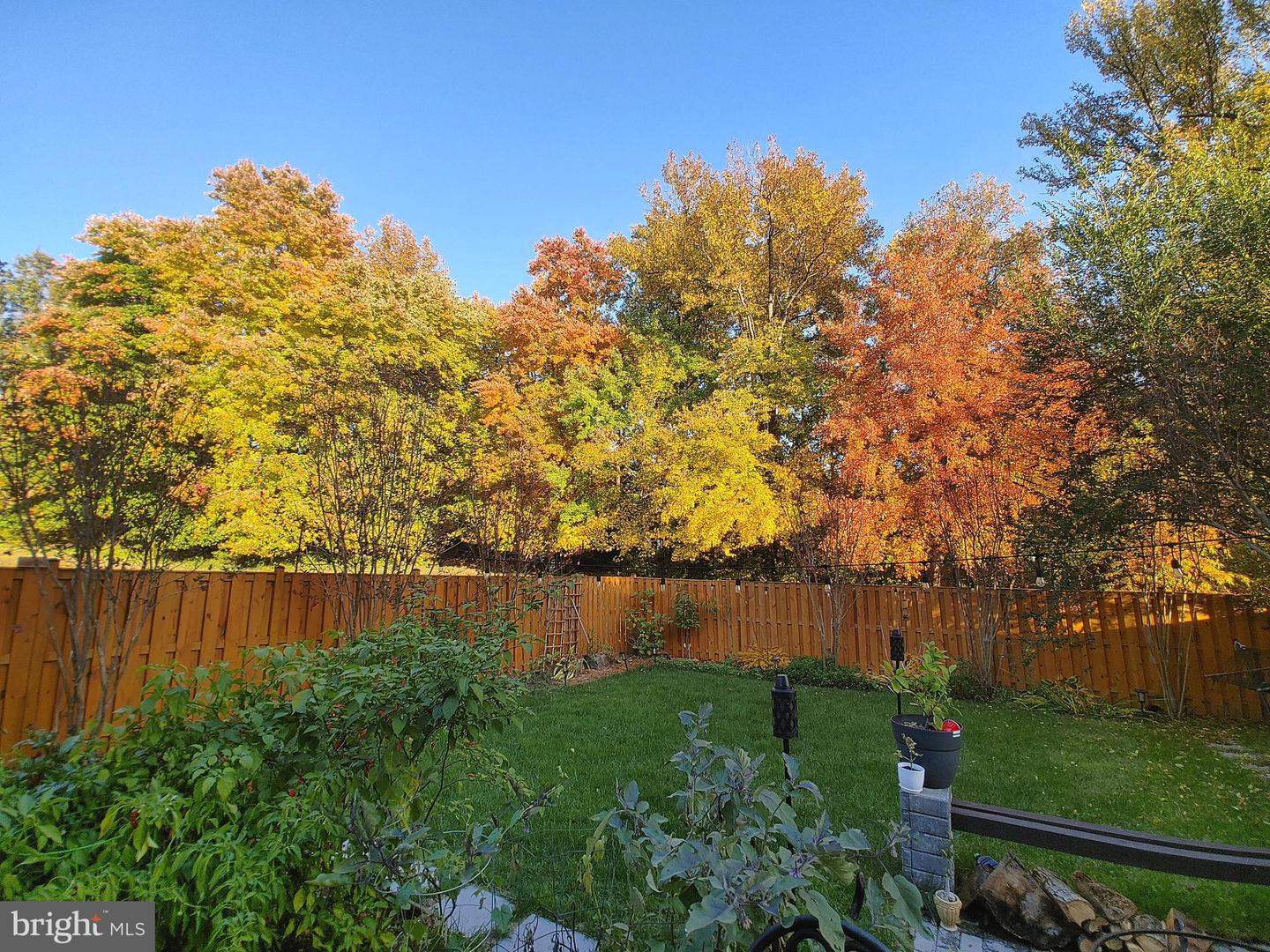 7114 WESTFIELD CT, ALEXANDRIA, Virginia 22306, 2 Bedrooms Bedrooms, ,2 BathroomsBathrooms,Residential,For sale,7114 WESTFIELD CT,VAFX2283054 MLS # VAFX2283054