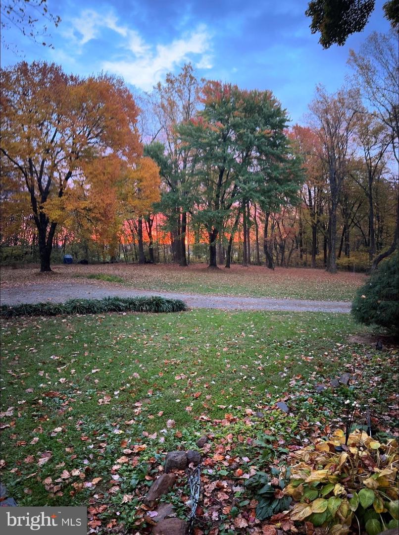 37844 NICEWARNER LN, LOVETTSVILLE, Virginia 20180, 3 Bedrooms Bedrooms, ,3 BathroomsBathrooms,Residential,For sale,37844 NICEWARNER LN,VALO2112980 MLS # VALO2112980