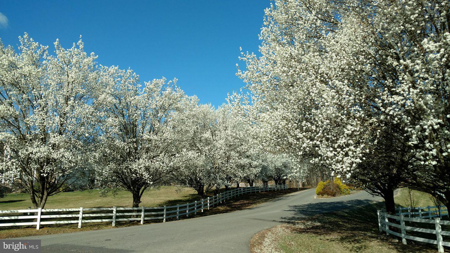 5501 HICKORY TREE LN, MINERAL, Virginia 23117, 3 Bedrooms Bedrooms, ,3 BathroomsBathrooms,Residential,For sale,5501 HICKORY TREE LN,VASP2038242 MLS # VASP2038242