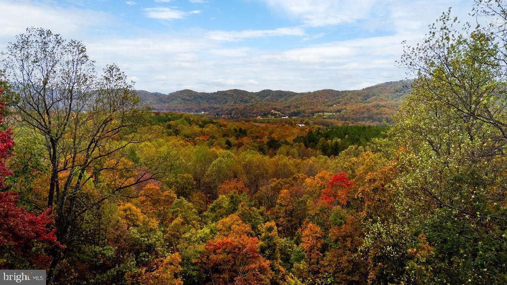 114 TREE HOUSE PLACE, NELLYSFORD, Virginia 22958, 3 Bedrooms Bedrooms, ,3 BathroomsBathrooms,Residential,For sale,114 TREE HOUSE PLACE,VANL2000618 MLS # VANL2000618