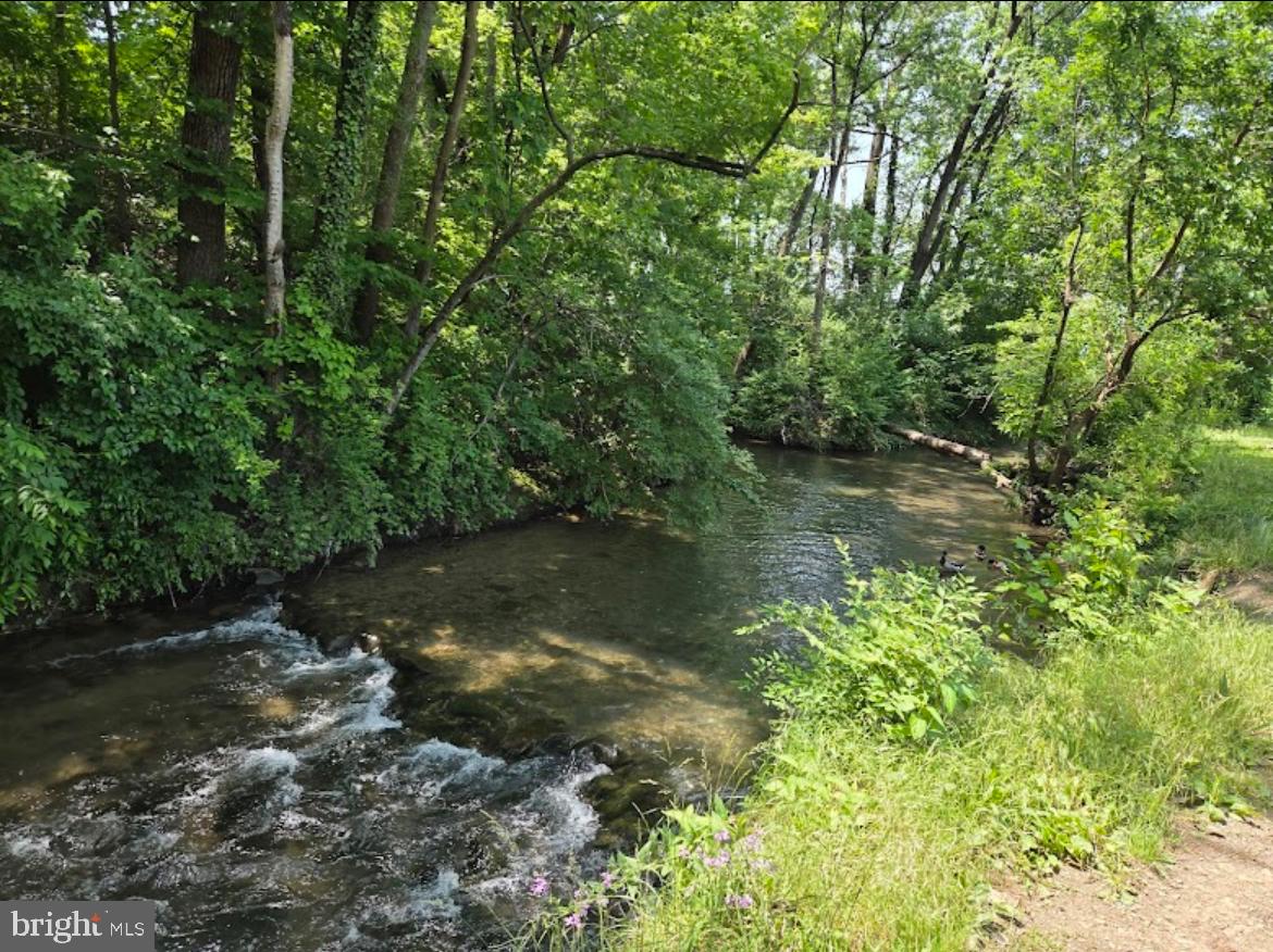 140 MCCORMICK CIR #302, WINCHESTER, Virginia 22602, 2 Bedrooms Bedrooms, ,2 BathroomsBathrooms,Residential,For sale,140 MCCORMICK CIR #302,VAFV2038584 MLS # VAFV2038584 140 MCCORMICK CIR #302, WINCHESTER, Virginia 22602, 2 Bedrooms Bedrooms, ,2 BathroomsBathrooms,Residential,For sale,140 MCCORMICK CIR #302,VAFV2038584 MLS # VAFV2038584