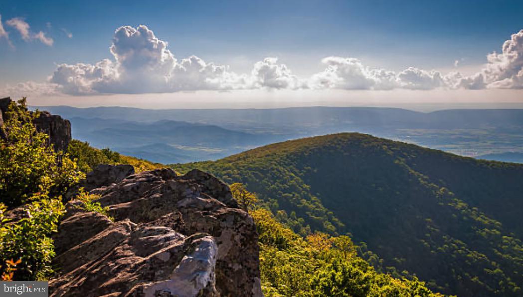 140 MCCORMICK CIR #302, WINCHESTER, Virginia 22602, 2 Bedrooms Bedrooms, ,2 BathroomsBathrooms,Residential,For sale,140 MCCORMICK CIR #302,VAFV2038584 MLS # VAFV2038584 140 MCCORMICK CIR #302, WINCHESTER, Virginia 22602, 2 Bedrooms Bedrooms, ,2 BathroomsBathrooms,Residential,For sale,140 MCCORMICK CIR #302,VAFV2038584 MLS # VAFV2038584