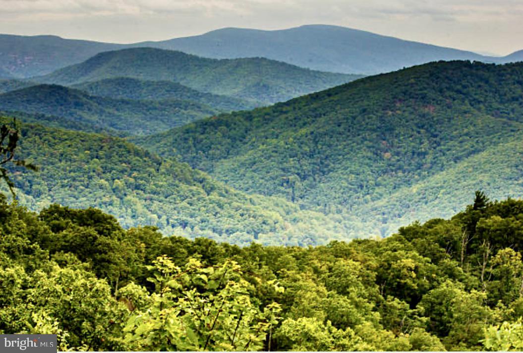 140 MCCORMICK CIR #302, WINCHESTER, Virginia 22602, 2 Bedrooms Bedrooms, ,2 BathroomsBathrooms,Residential,For sale,140 MCCORMICK CIR #302,VAFV2038584 MLS # VAFV2038584 140 MCCORMICK CIR #302, WINCHESTER, Virginia 22602, 2 Bedrooms Bedrooms, ,2 BathroomsBathrooms,Residential,For sale,140 MCCORMICK CIR #302,VAFV2038584 MLS # VAFV2038584