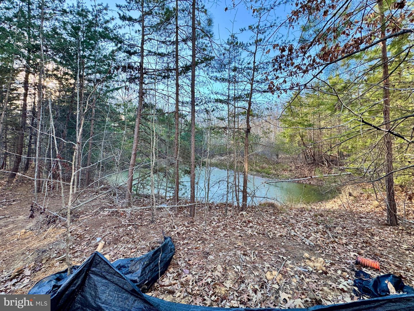 515 NOAHS LANDING DR, BUMPASS, Virginia 23024, 5 Bedrooms Bedrooms, 9 Rooms Rooms,3 BathroomsBathrooms,Residential,For sale,515 NOAHS LANDING DR,VALA2009066 MLS # VALA2009066