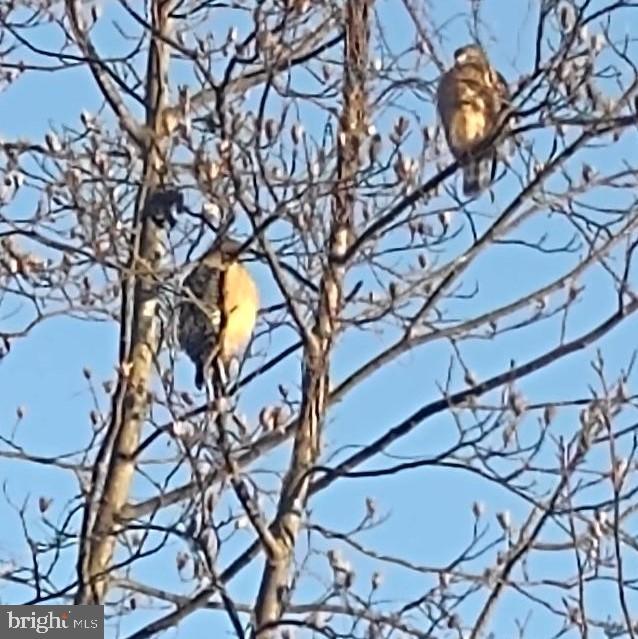 47501 SHARPSKIN ISLAND SQ, STERLING, Virginia 20165, 3 Bedrooms Bedrooms, ,2 BathroomsBathrooms,Residential,For sale,47501 SHARPSKIN ISLAND SQ,VALO2113038 MLS # VALO2113038 47501 SHARPSKIN ISLAND SQ, STERLING, Virginia 20165, 3 Bedrooms Bedrooms, ,2 BathroomsBathrooms,Residential,For sale,47501 SHARPSKIN ISLAND SQ,VALO2113038 MLS # VALO2113038