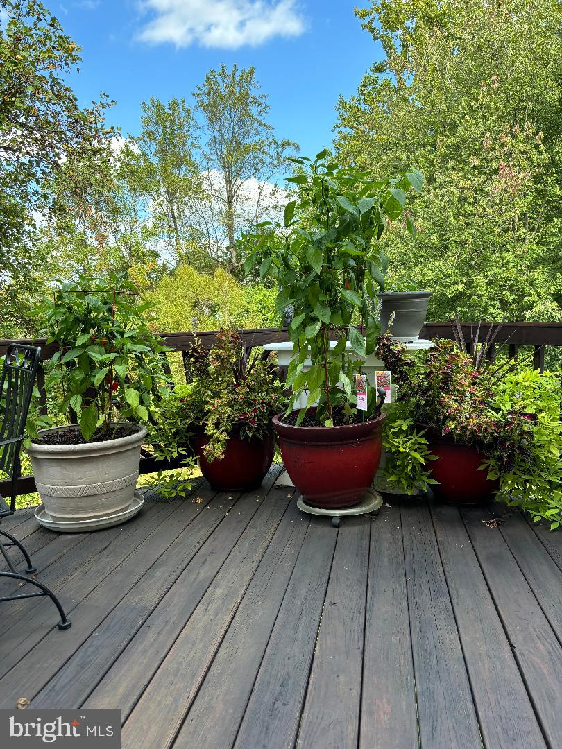 47501 SHARPSKIN ISLAND SQ, STERLING, Virginia 20165, 3 Bedrooms Bedrooms, ,2 BathroomsBathrooms,Residential,For sale,47501 SHARPSKIN ISLAND SQ,VALO2113038 MLS # VALO2113038 47501 SHARPSKIN ISLAND SQ, STERLING, Virginia 20165, 3 Bedrooms Bedrooms, ,2 BathroomsBathrooms,Residential,For sale,47501 SHARPSKIN ISLAND SQ,VALO2113038 MLS # VALO2113038