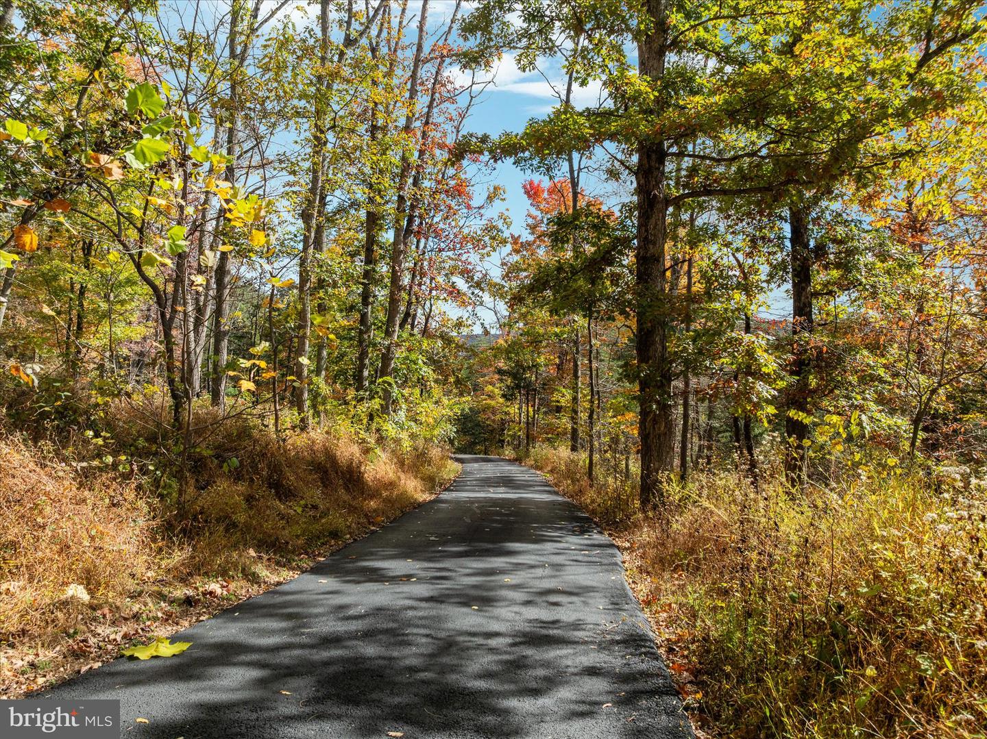 220 OATES RD, STAR TANNERY, Virginia 22654, 4 Bedrooms Bedrooms, ,3 BathroomsBathrooms,Residential,For sale,220 OATES RD,VAFV2038622 MLS # VAFV2038622