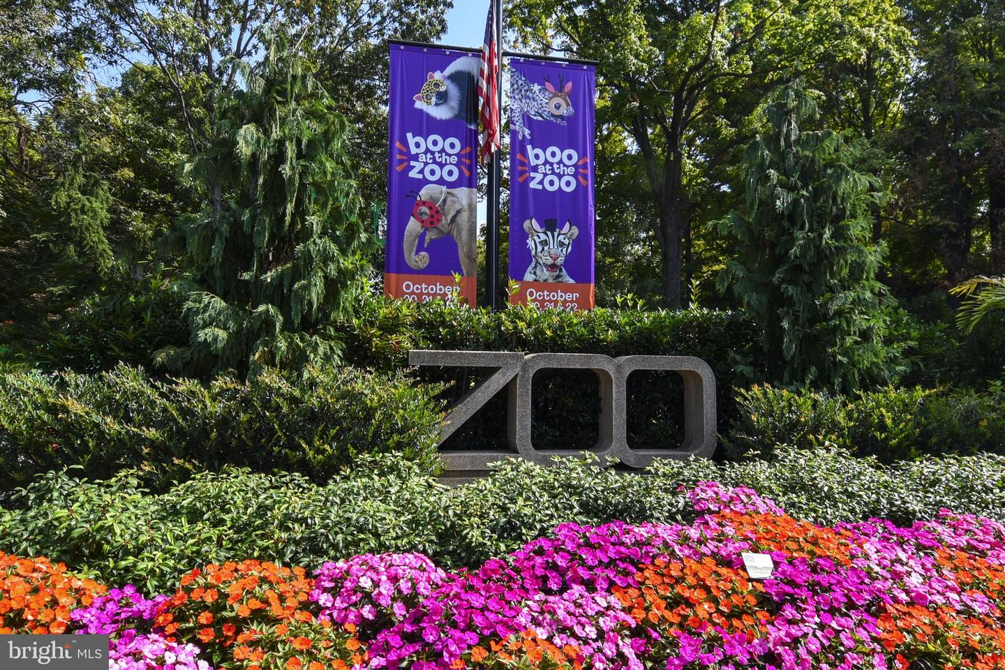 1731 WILLARD ST NW #105, WASHINGTON, District Of Columbia 20009, 1 Bedroom Bedrooms, ,2 BathroomsBathrooms,Residential,For sale,1731 WILLARD ST NW #105,DCDC2239350 MLS # DCDC2239350 1731 WILLARD ST NW #105, WASHINGTON, District Of Columbia 20009, 1 Bedroom Bedrooms, ,2 BathroomsBathrooms,Residential,For sale,1731 WILLARD ST NW #105,DCDC2239350 MLS # DCDC2239350