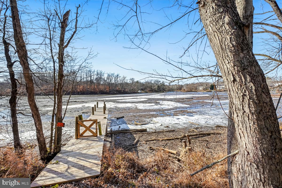 8705 STOCKTON PKWY, ALEXANDRIA, Virginia 22308, 3 Bedrooms Bedrooms, 14 Rooms Rooms,3 BathroomsBathrooms,Residential,For sale,8705 STOCKTON PKWY,VAFX2283820 MLS # VAFX2283820 8705 STOCKTON PKWY, ALEXANDRIA, Virginia 22308, 3 Bedrooms Bedrooms, 14 Rooms Rooms,3 BathroomsBathrooms,Residential,For sale,8705 STOCKTON PKWY,VAFX2283820 MLS # VAFX2283820