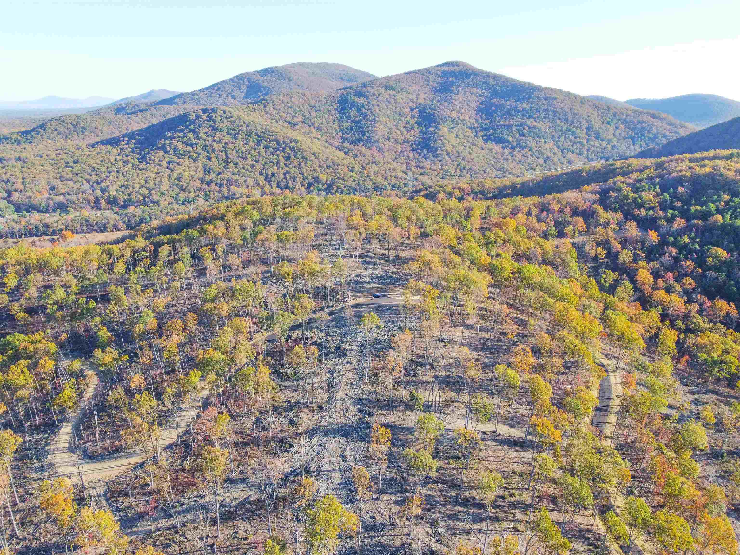 TBD1 CALF MOUNTAIN RD, WAYNESBORO, Virginia 22980, ,Farm,TBD1 CALF MOUNTAIN RD,644970 MLS # 644970