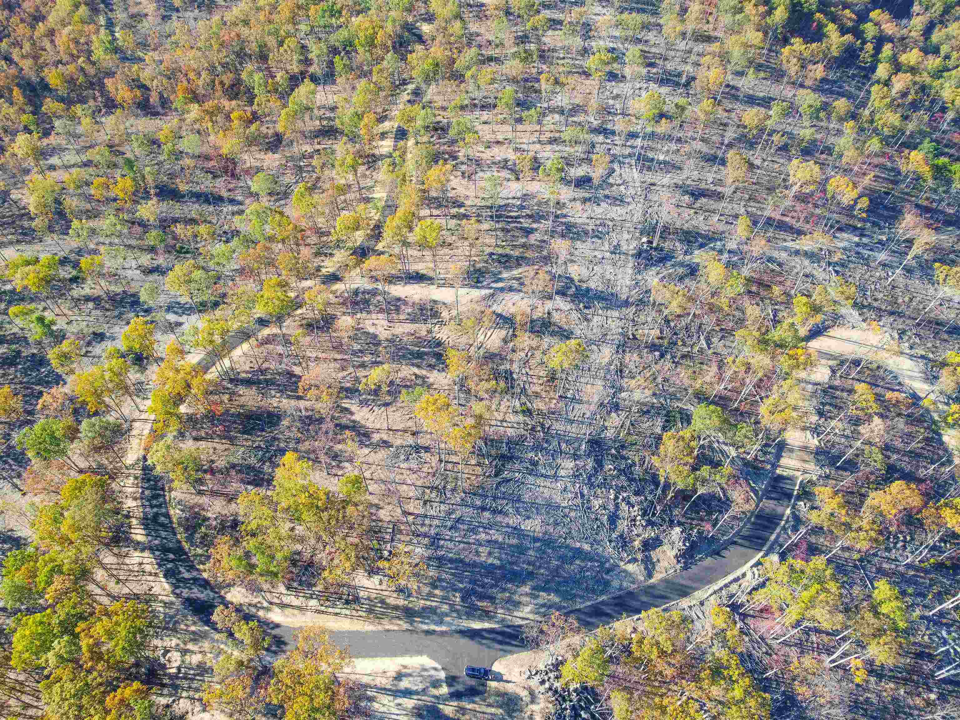 TBD1 CALF MOUNTAIN RD, WAYNESBORO, Virginia 22980, ,Farm,TBD1 CALF MOUNTAIN RD,644970 MLS # 644970