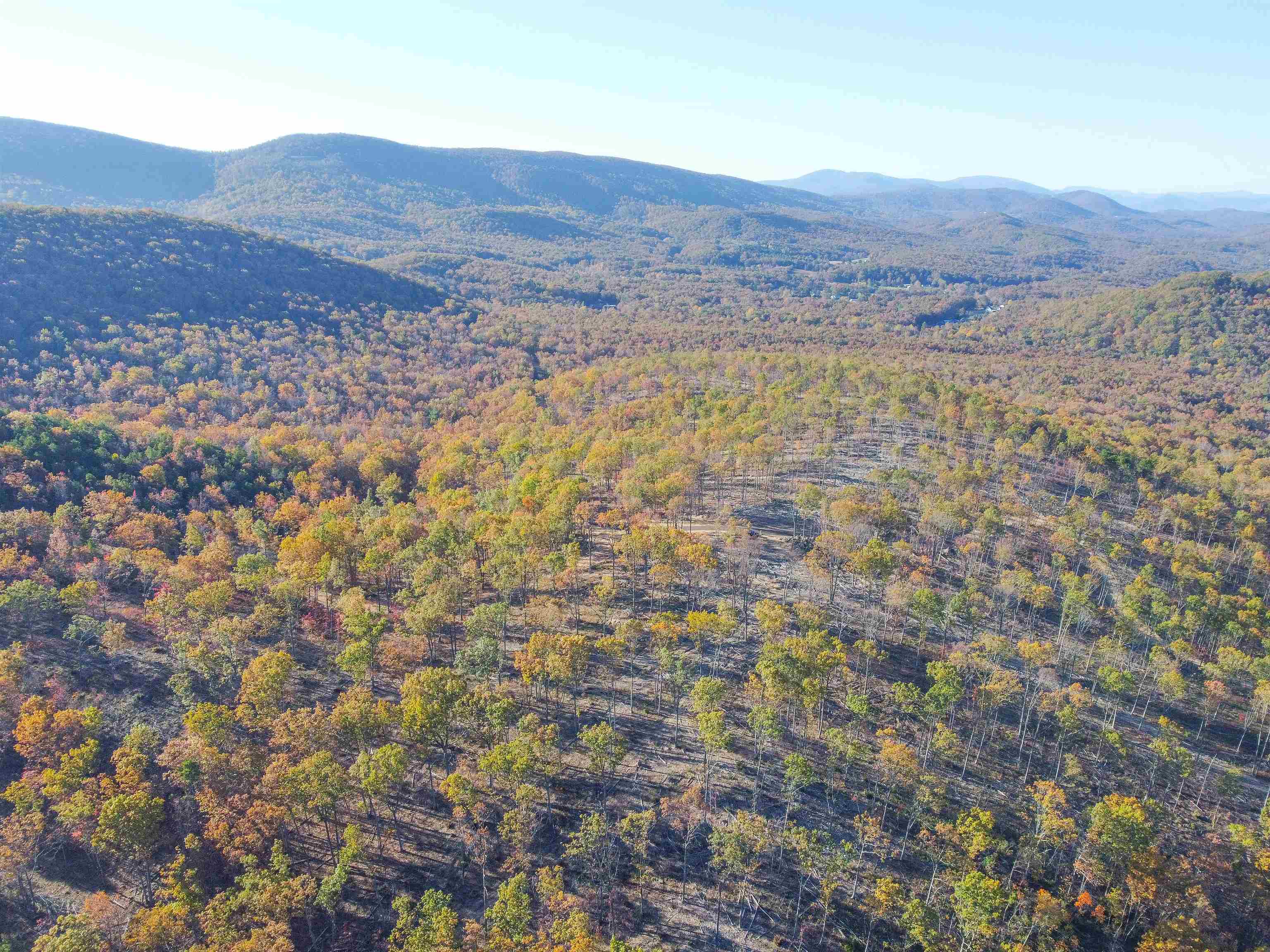 TBD1 CALF MOUNTAIN RD, WAYNESBORO, Virginia 22980, ,Farm,TBD1 CALF MOUNTAIN RD,644970 MLS # 644970