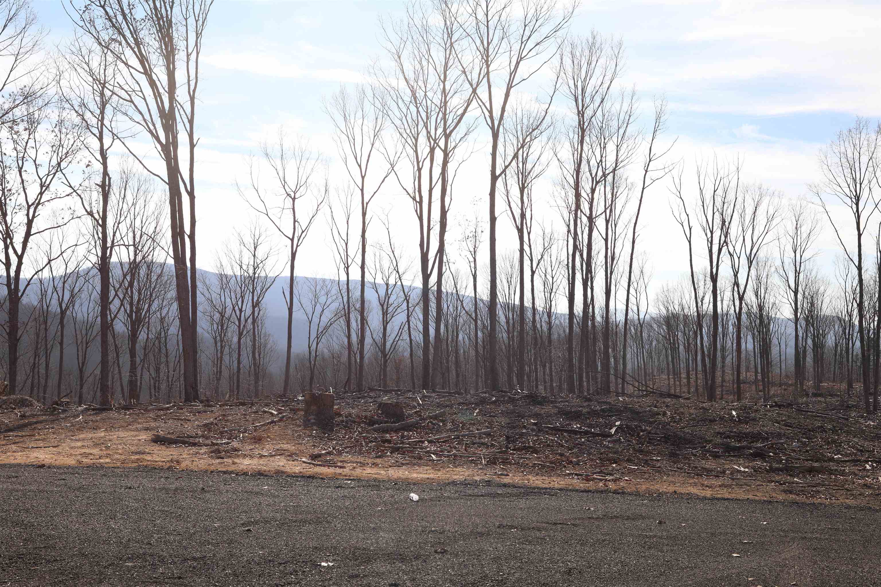 TBD1 CALF MOUNTAIN RD, WAYNESBORO, Virginia 22980, ,Farm,TBD1 CALF MOUNTAIN RD,644970 MLS # 644970