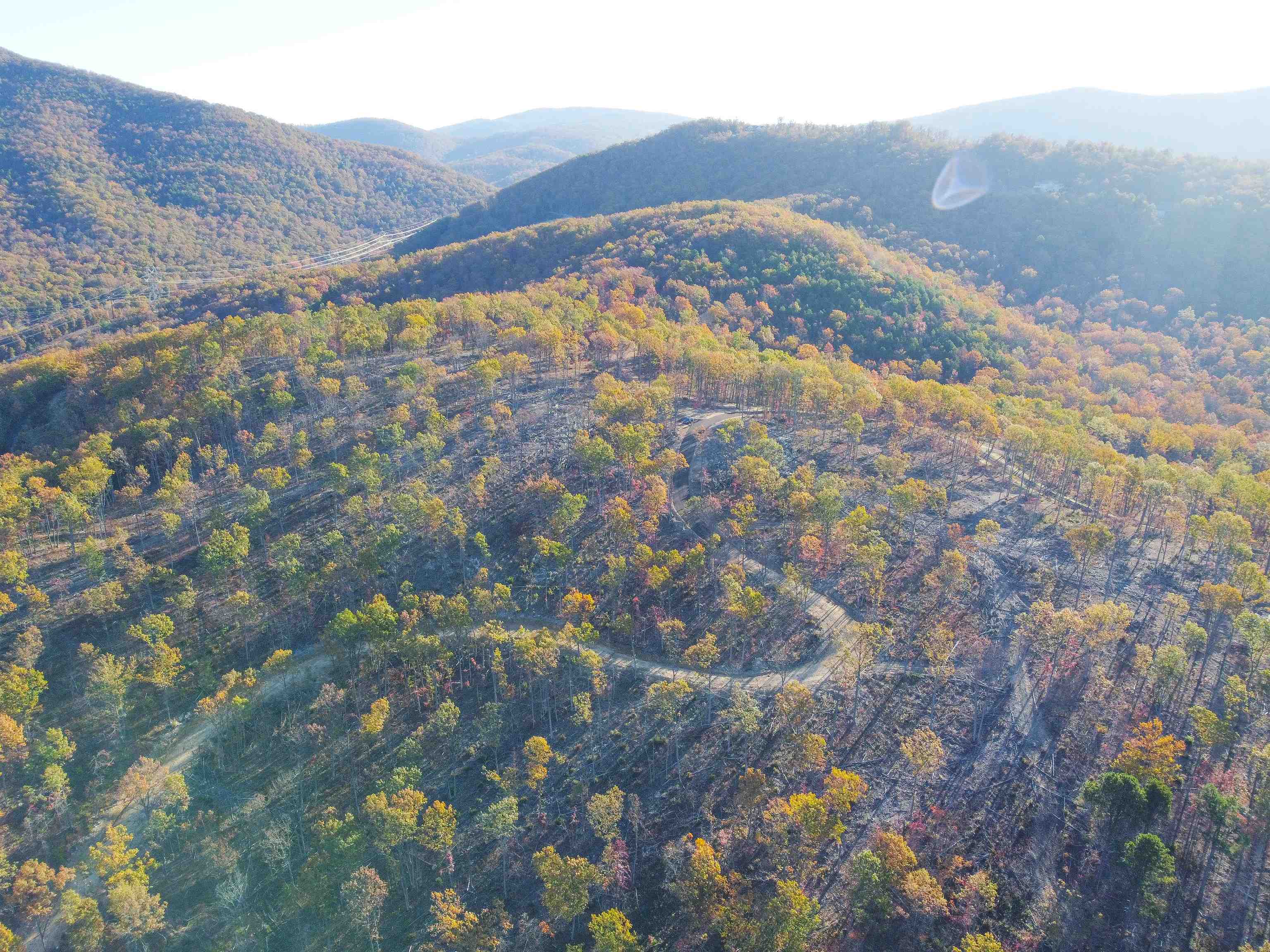 TBD CALF MOUNTAIN RD, WAYNESBORO, Virginia 22980, ,Farm,TBD CALF MOUNTAIN RD,644971 MLS # 644971 TBD CALF MOUNTAIN RD, WAYNESBORO, Virginia 22980, ,Farm,TBD CALF MOUNTAIN RD,644971 MLS # 644971