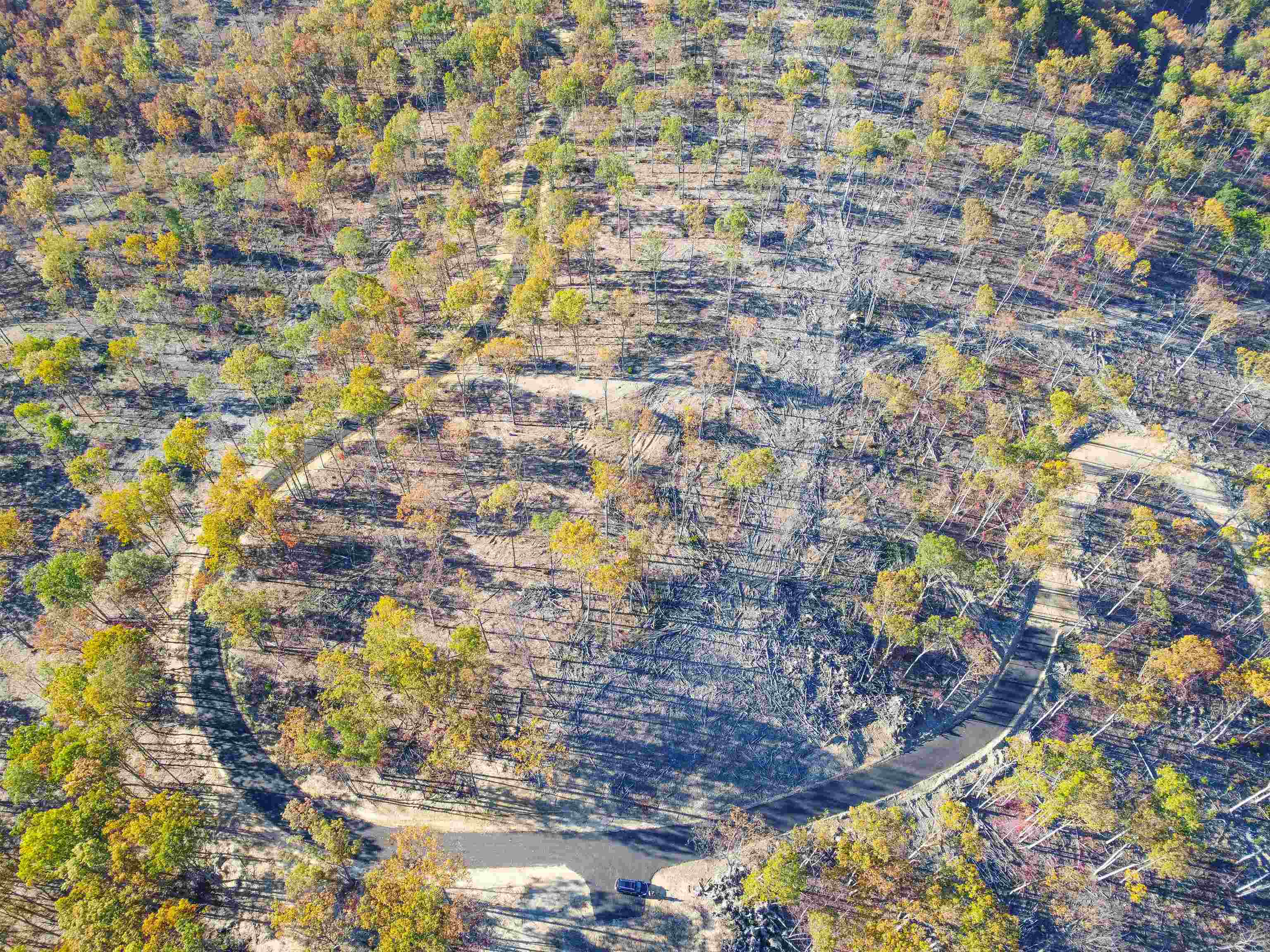 TBD CALF MOUNTAIN RD, WAYNESBORO, Virginia 22980, ,Farm,TBD CALF MOUNTAIN RD,644971 MLS # 644971 TBD CALF MOUNTAIN RD, WAYNESBORO, Virginia 22980, ,Farm,TBD CALF MOUNTAIN RD,644971 MLS # 644971