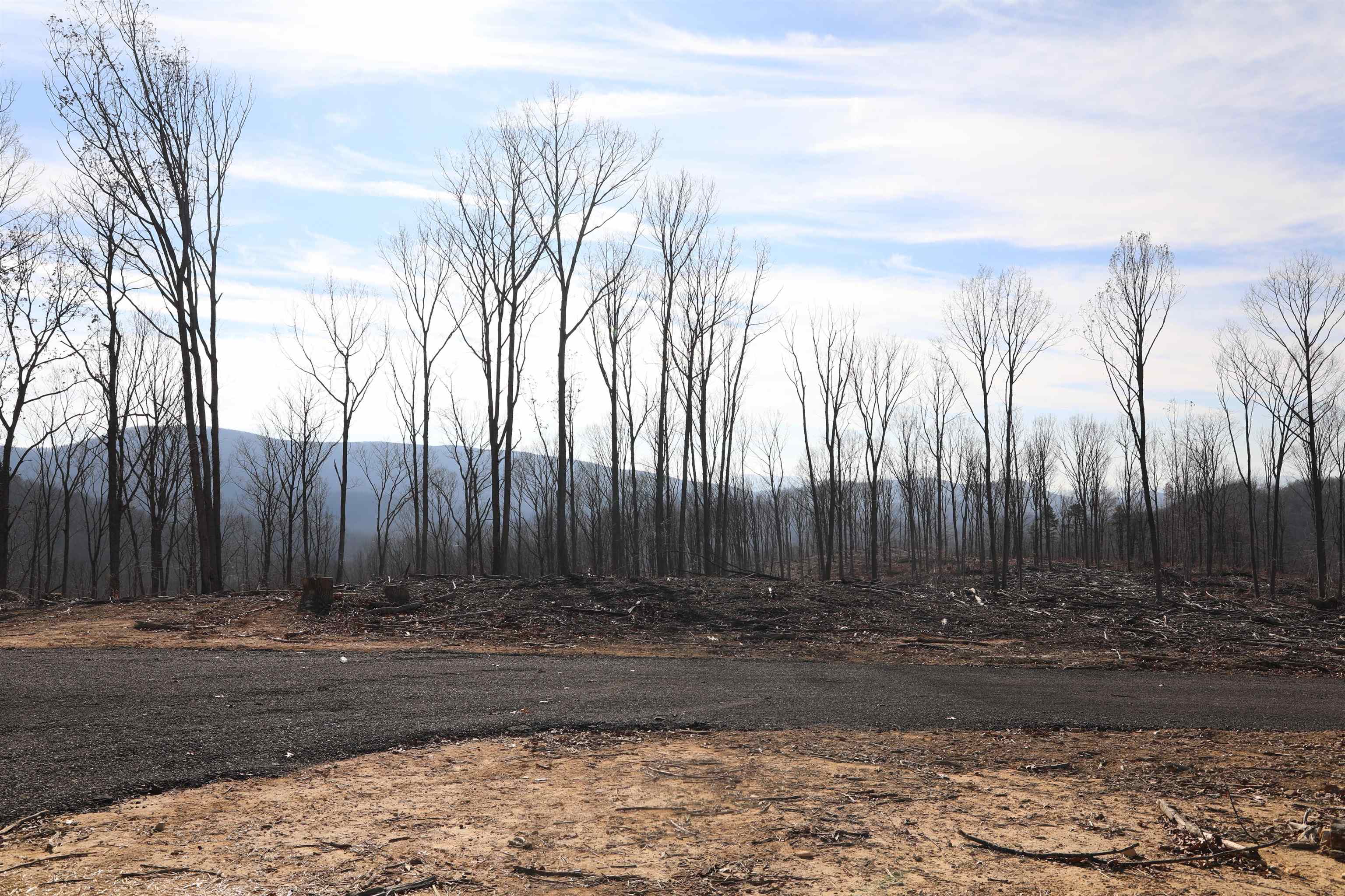 TBD CALF MOUNTAIN RD, WAYNESBORO, Virginia 22980, ,Farm,TBD CALF MOUNTAIN RD,644971 MLS # 644971 TBD CALF MOUNTAIN RD, WAYNESBORO, Virginia 22980, ,Farm,TBD CALF MOUNTAIN RD,644971 MLS # 644971