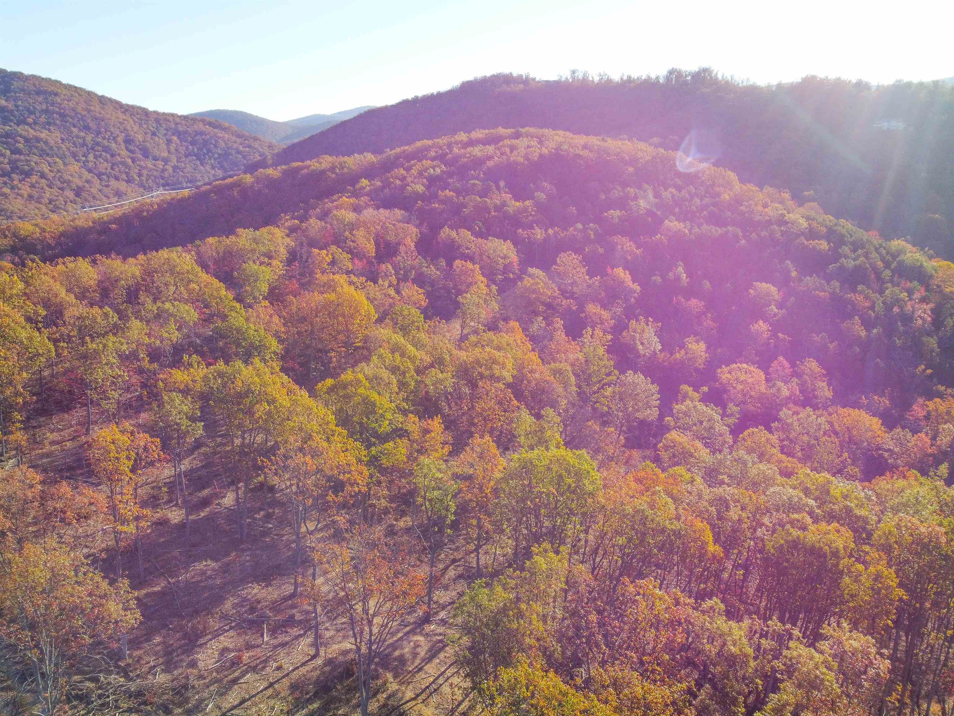 TBD CALF MOUNTAIN RD, WAYNESBORO, Virginia 22980, ,Farm,TBD CALF MOUNTAIN RD,644972 MLS # 644972