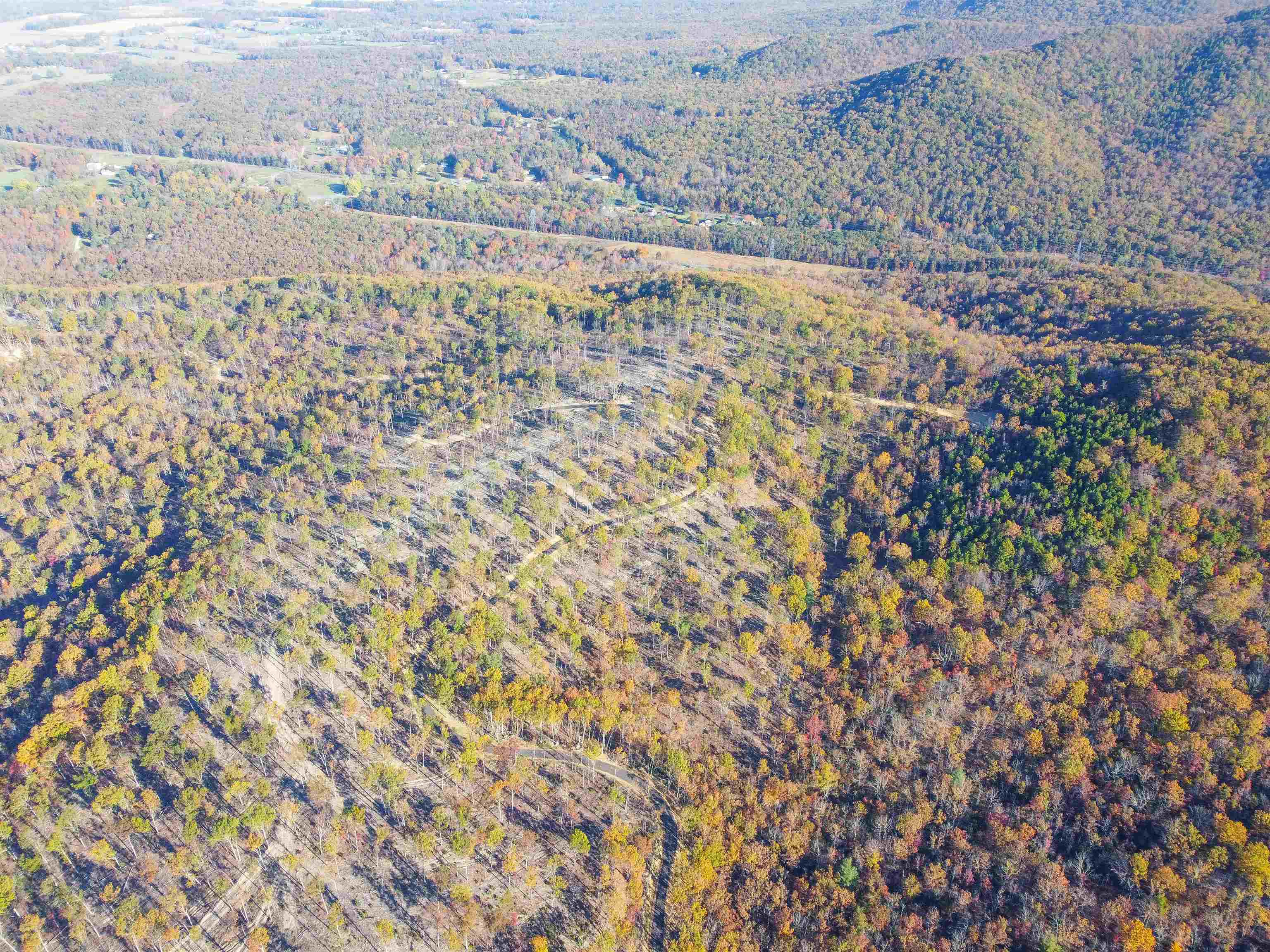 TBD CALF MOUNTAIN RD, WAYNESBORO, Virginia 22980, ,Farm,TBD CALF MOUNTAIN RD,644972 MLS # 644972