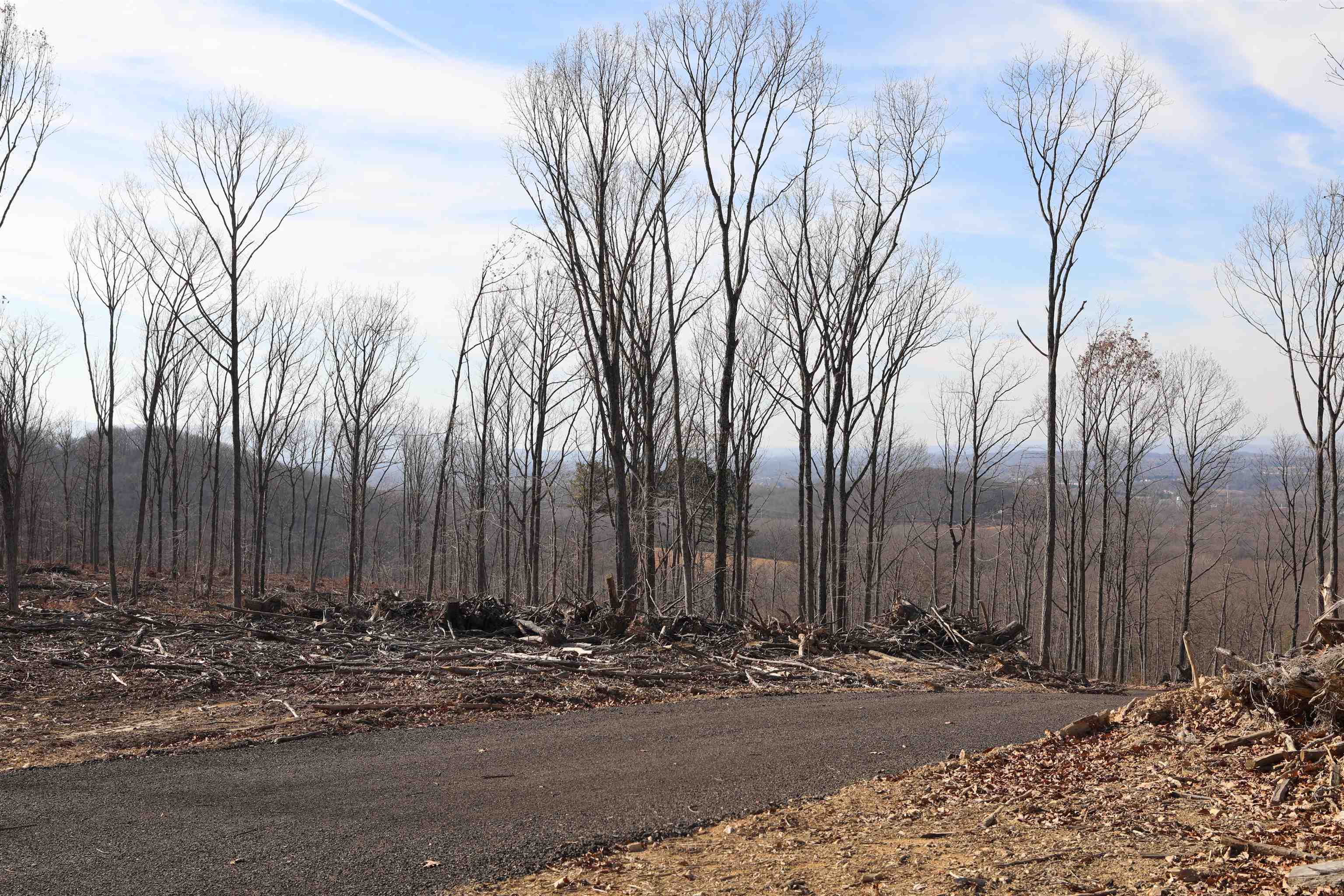 TBD CALF MOUNTAIN RD, WAYNESBORO, Virginia 22980, ,Farm,TBD CALF MOUNTAIN RD,644972 MLS # 644972