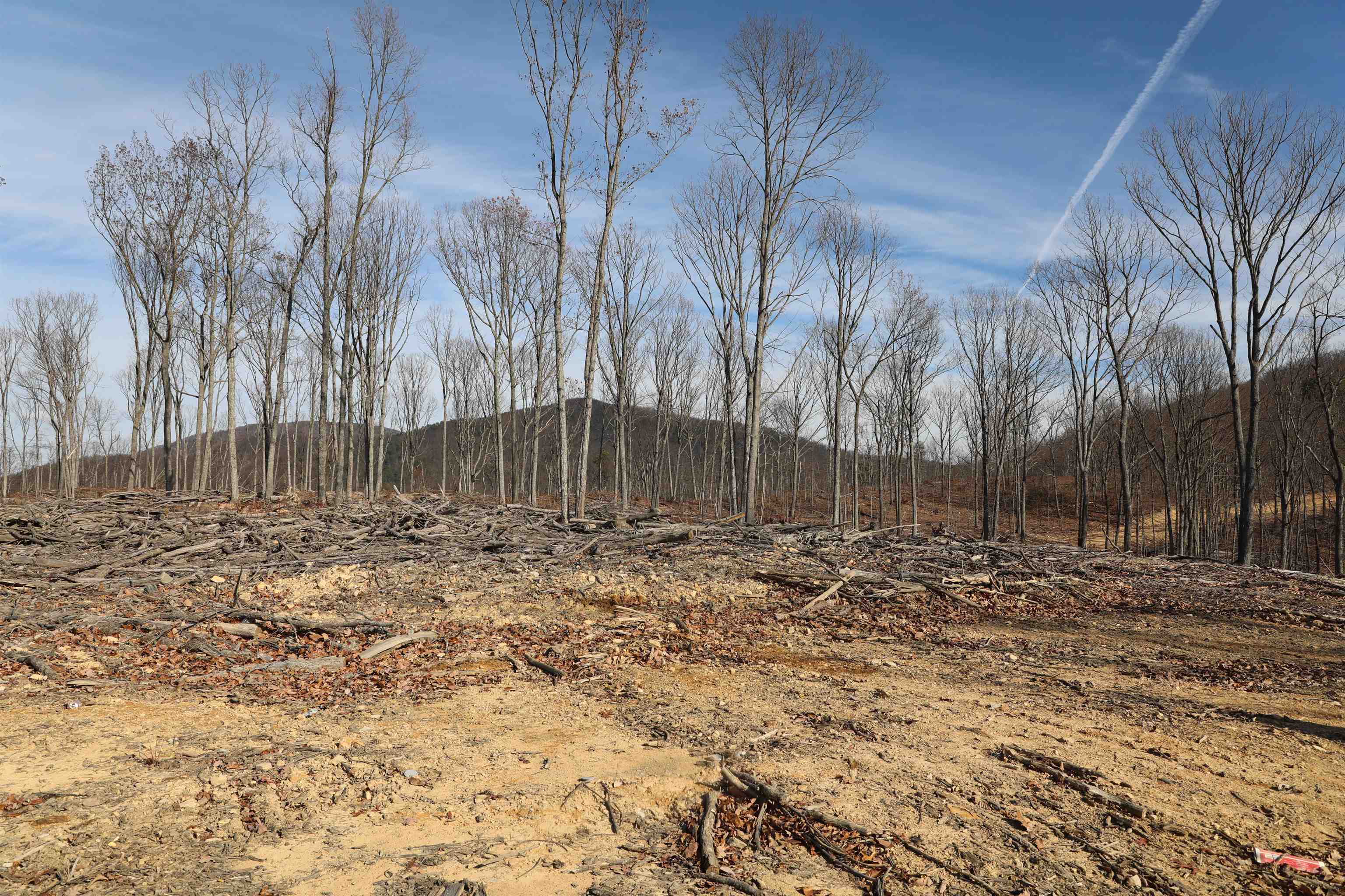 TBD CALF MOUNTAIN RD, WAYNESBORO, Virginia 22980, ,Farm,TBD CALF MOUNTAIN RD,644972 MLS # 644972