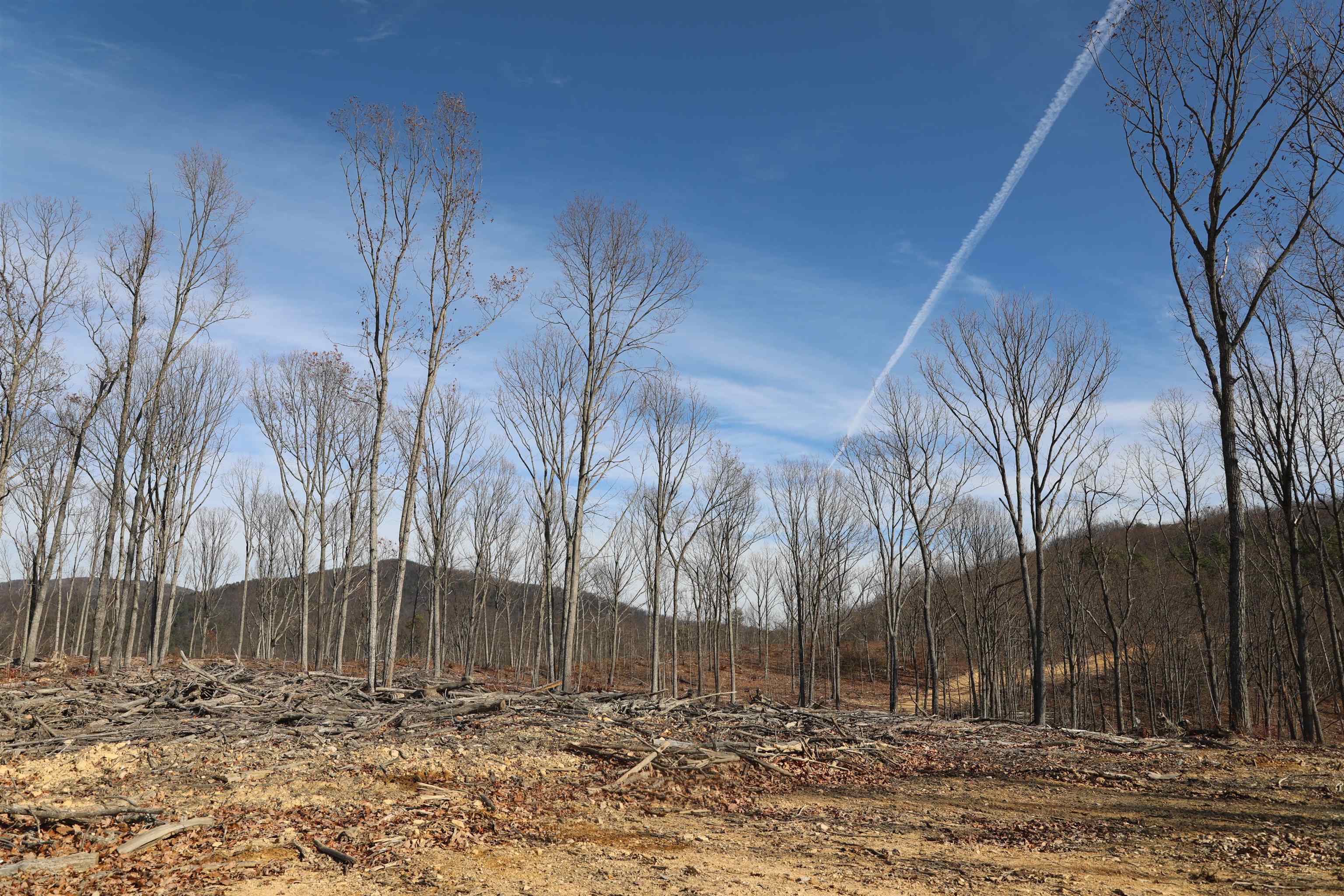 TBD CALF MOUNTAIN RD, WAYNESBORO, Virginia 22980, ,Farm,TBD CALF MOUNTAIN RD,644972 MLS # 644972