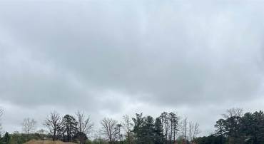 JOHNSON DR, STUARTS DRAFT, Virginia 24477, ,Land,JOHNSON DR,663189 MLS # 663189